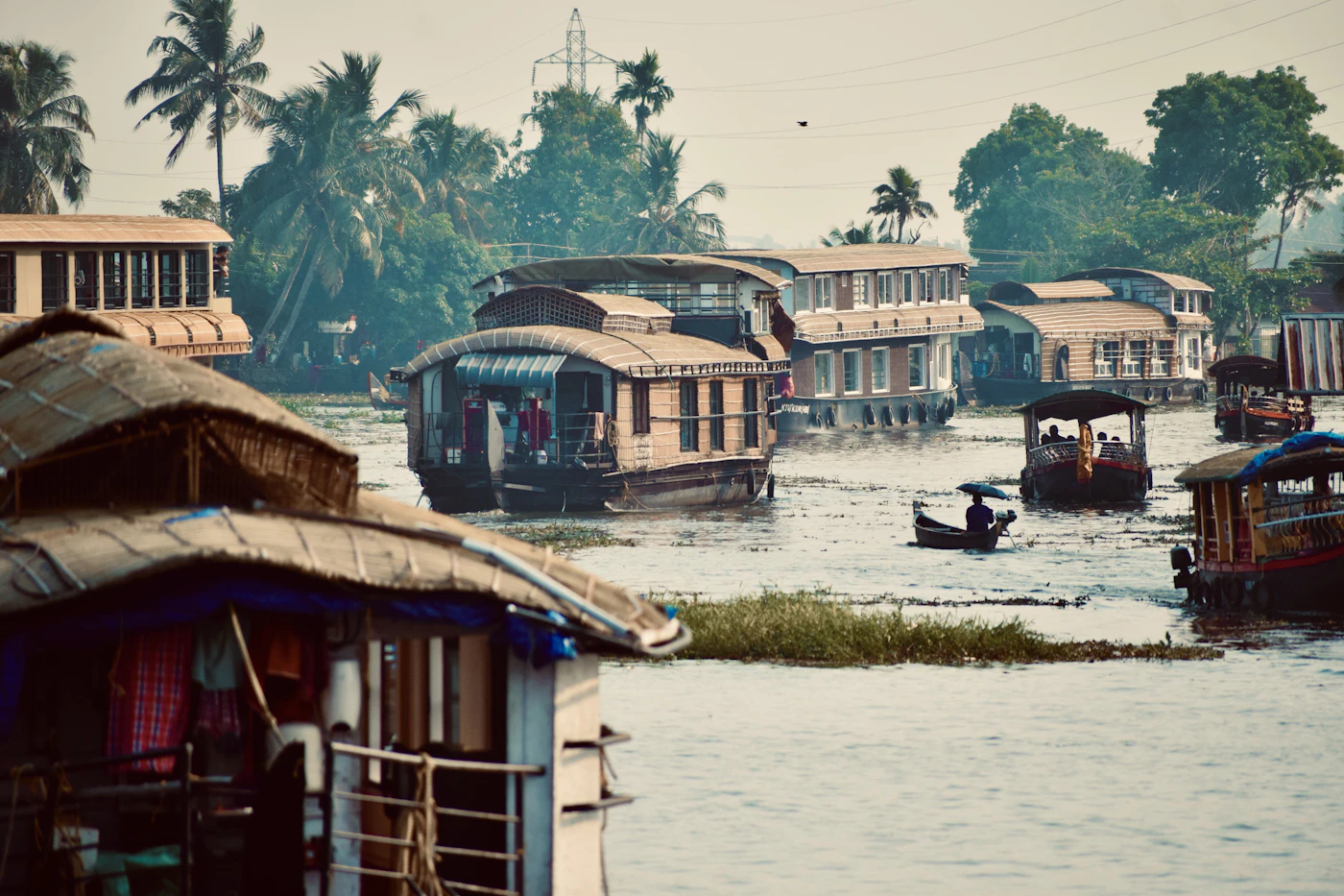 Kerala Backwaters Yoga — 8-Day Women's Retreat