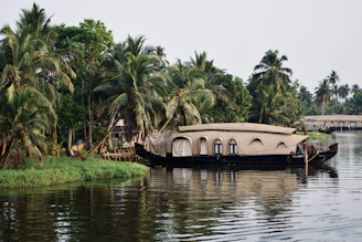 Houseboat floating on a calm river surrounded by palm trees.