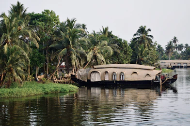 Houseboat floating on a calm river surrounded by palm trees.