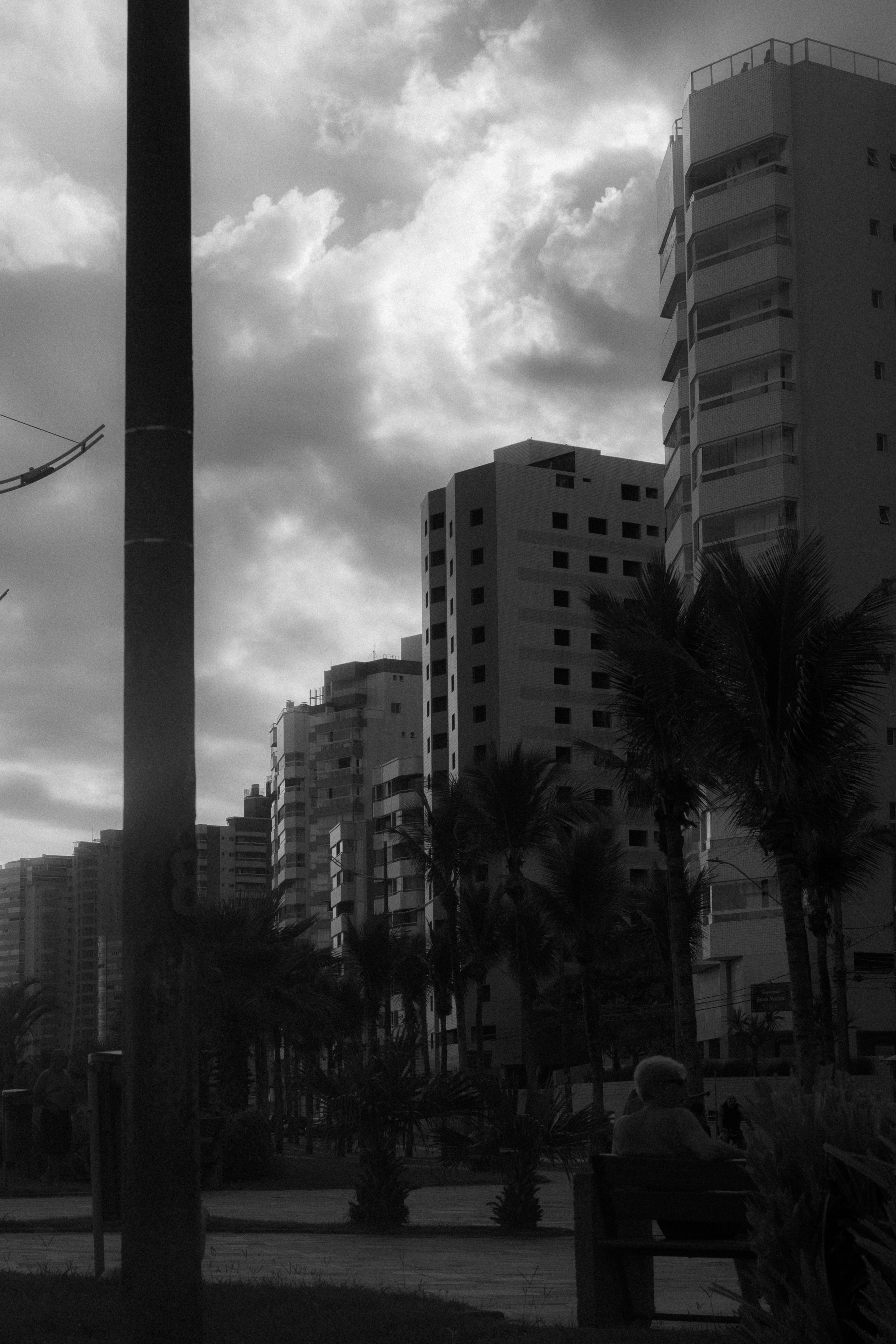 Bâtiments et palmiers sous un ciel nuageux