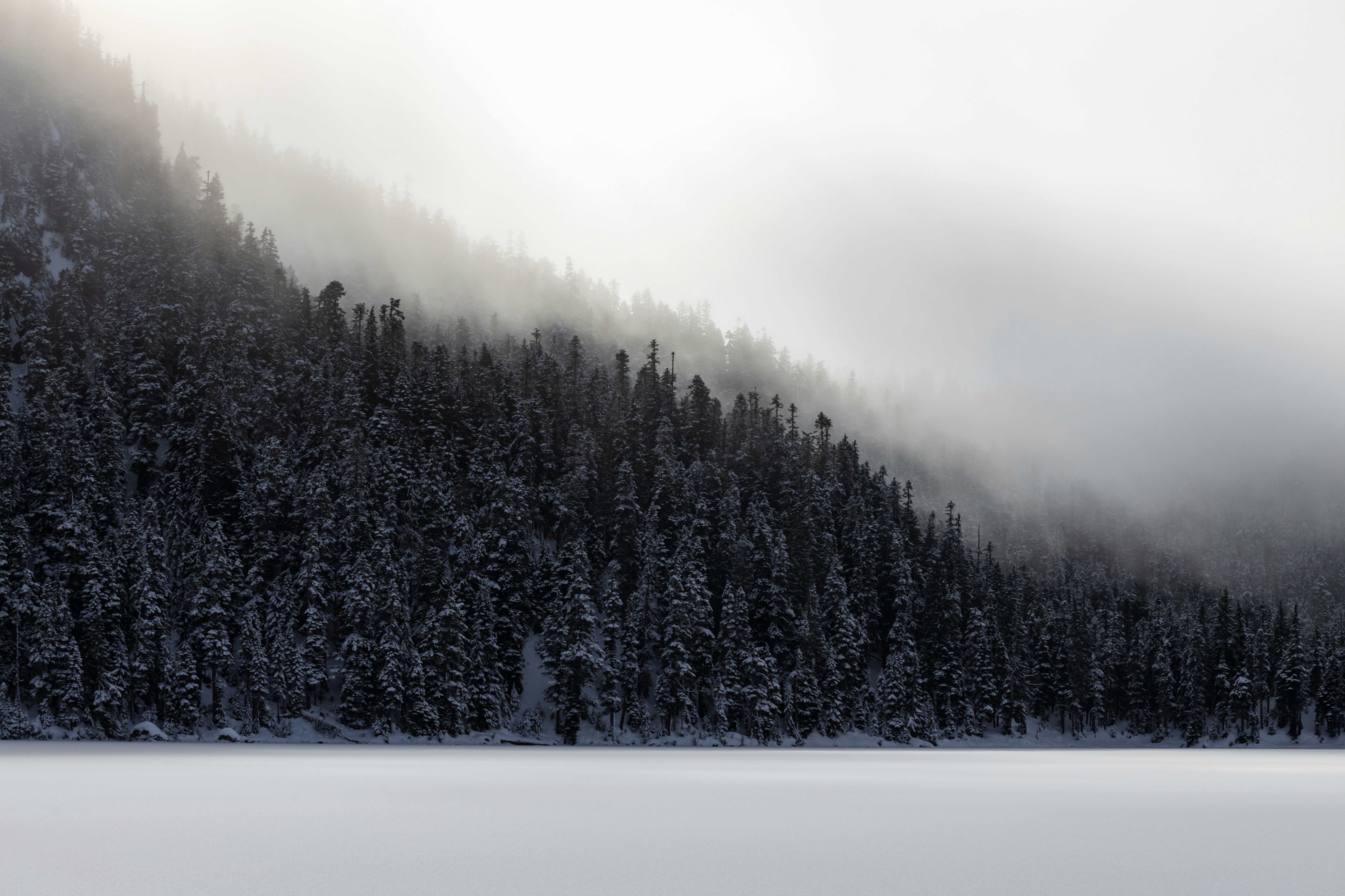 Photo by greg_rosenke