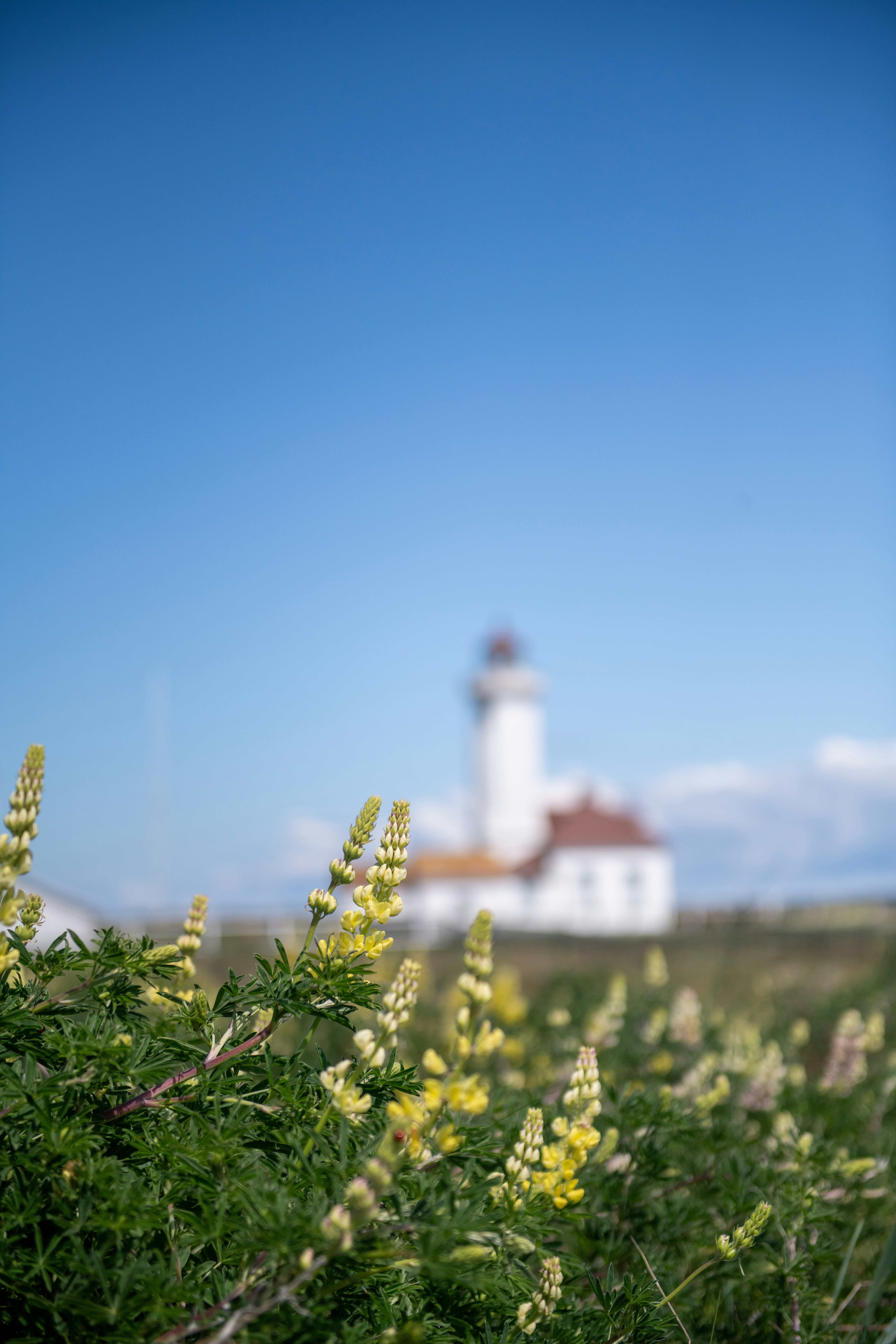 Photo by hlandkammer