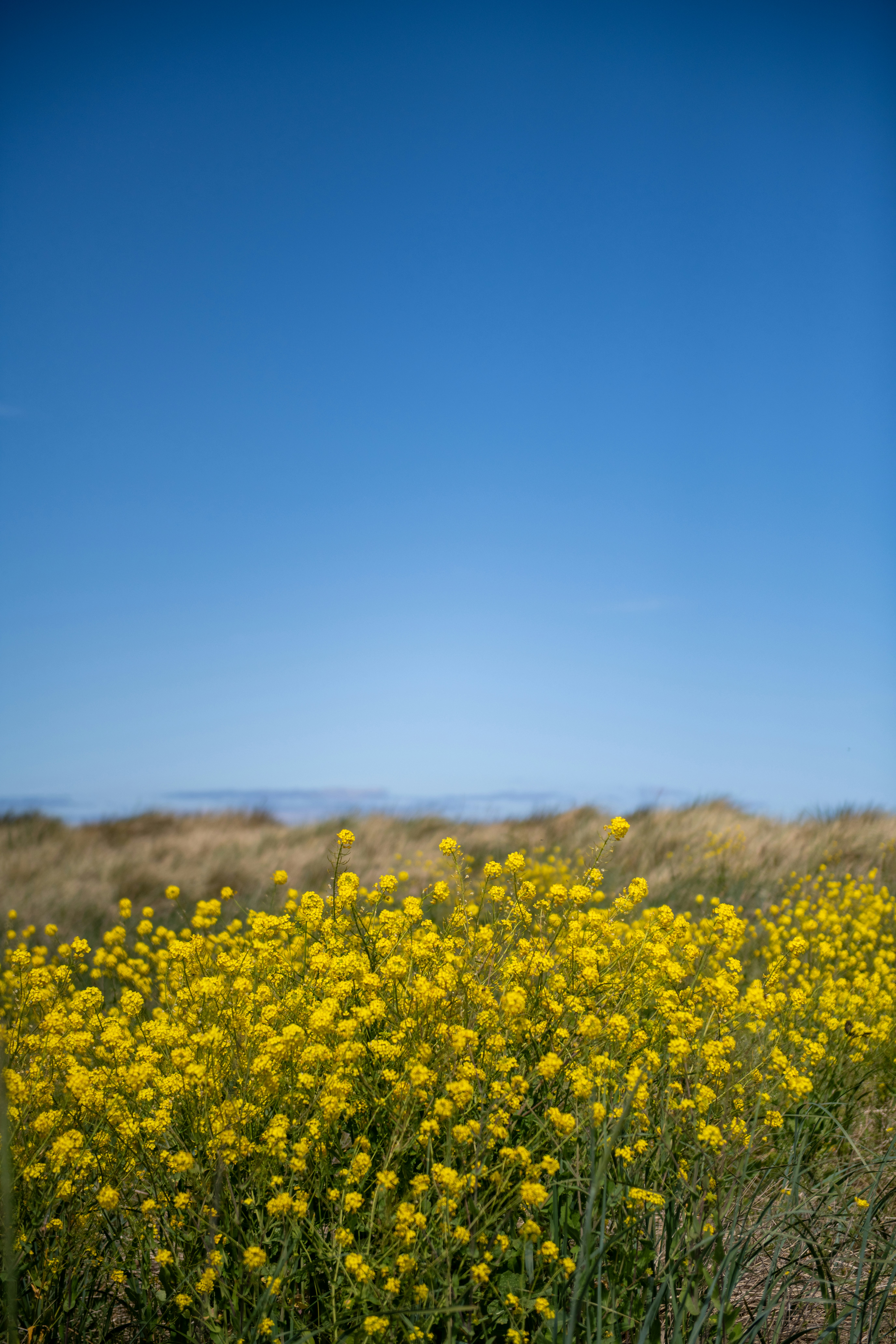 Photo by hlandkammer