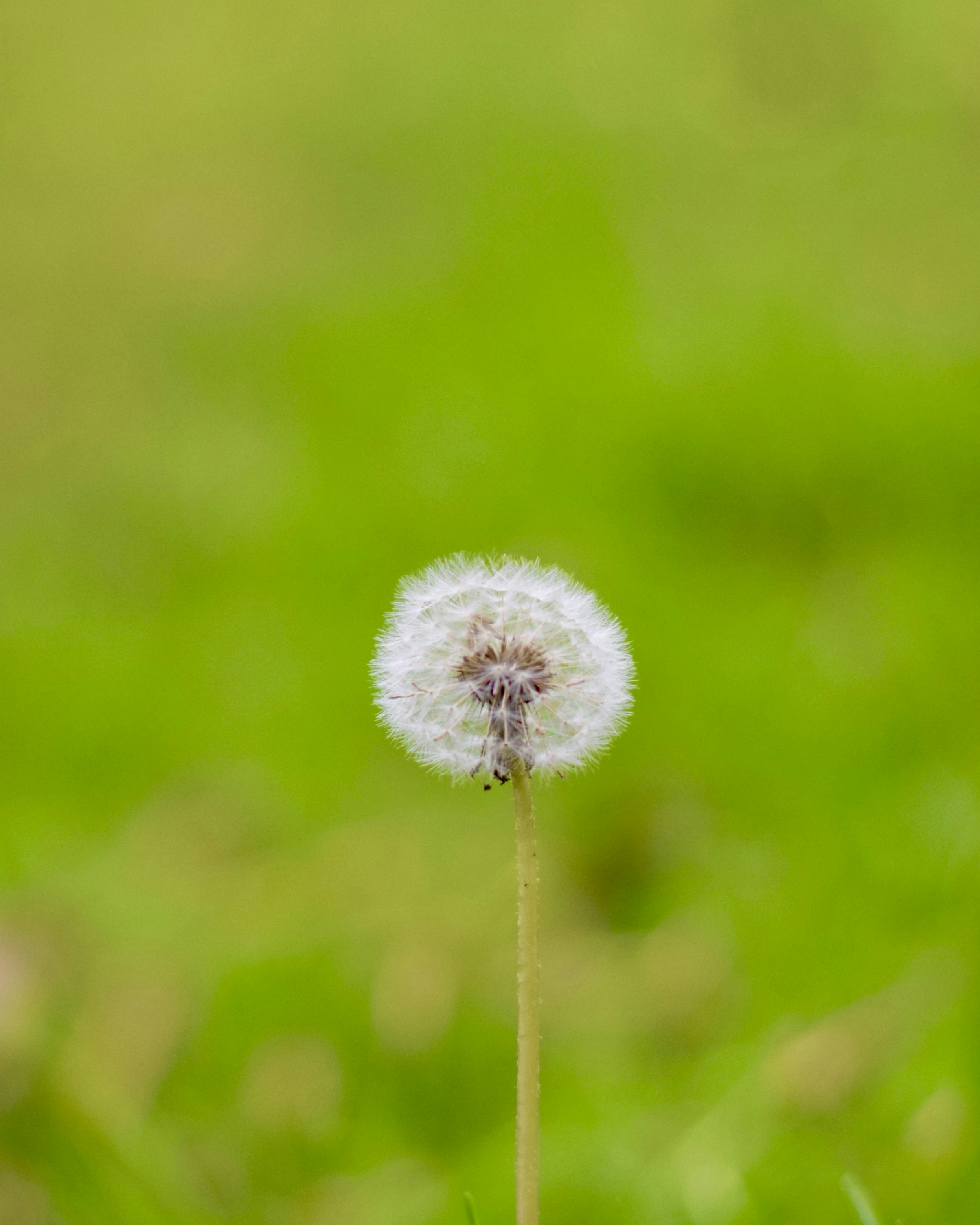 Photo by theushakiran