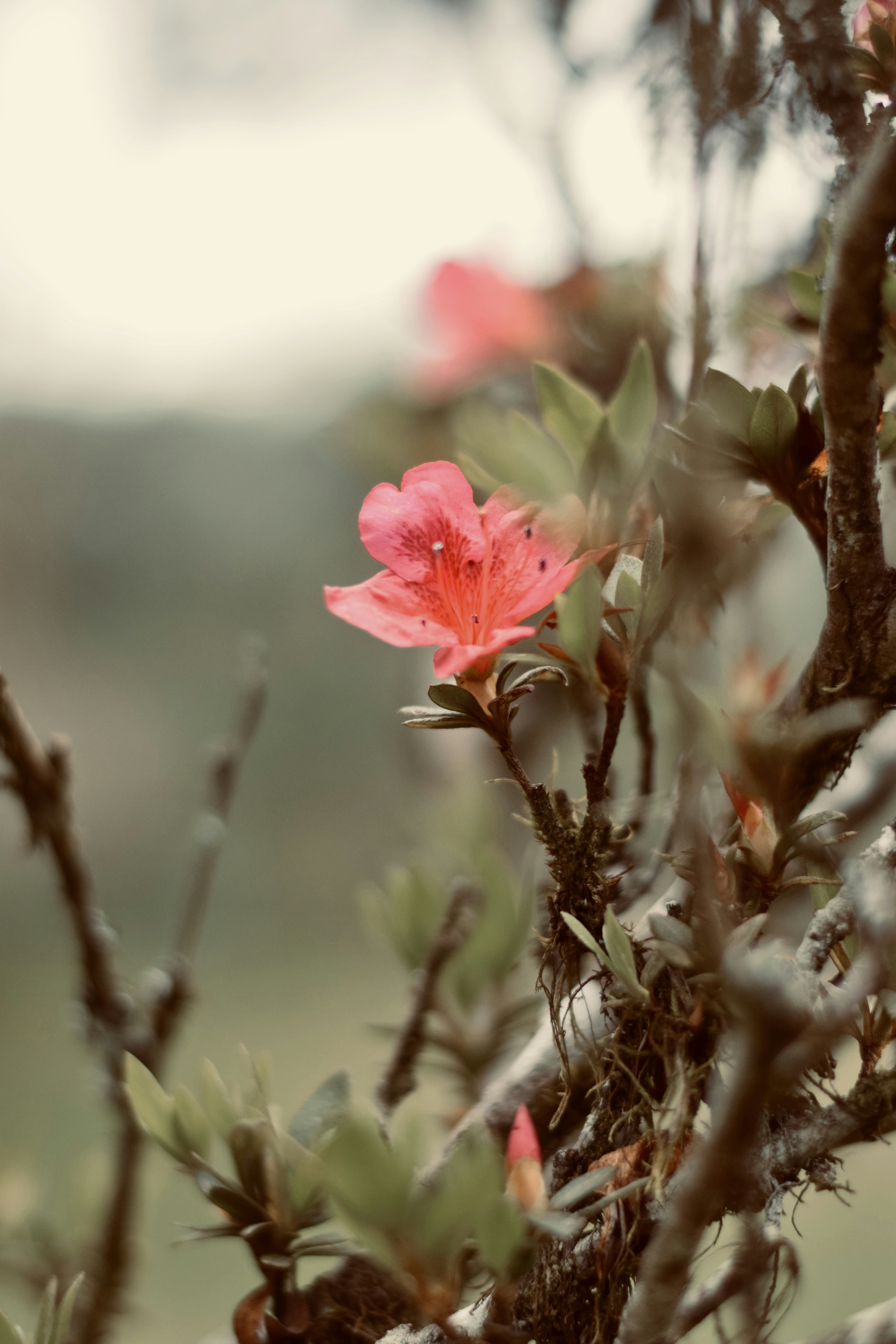 Photo by theushakiran