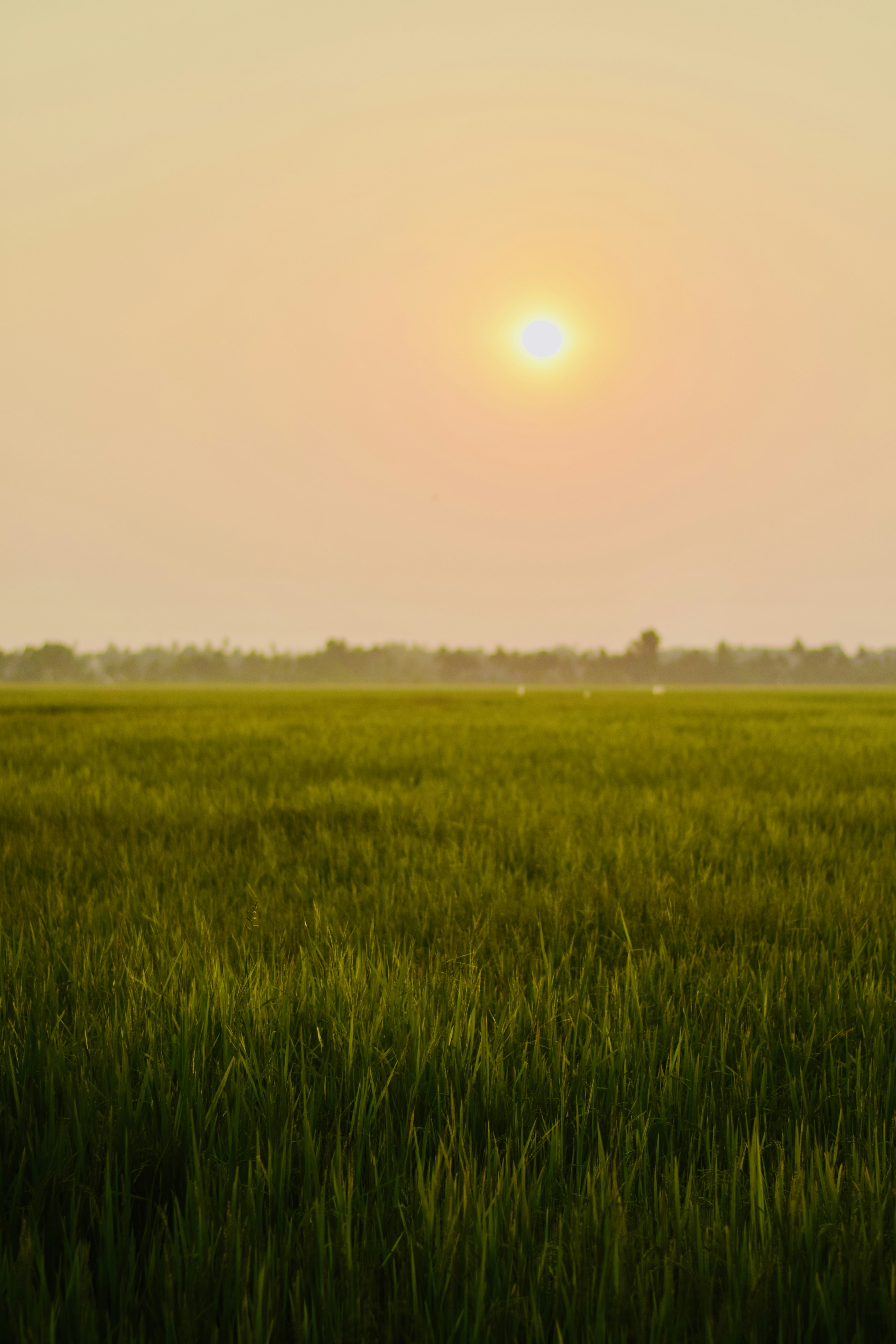 Photo by theushakiran