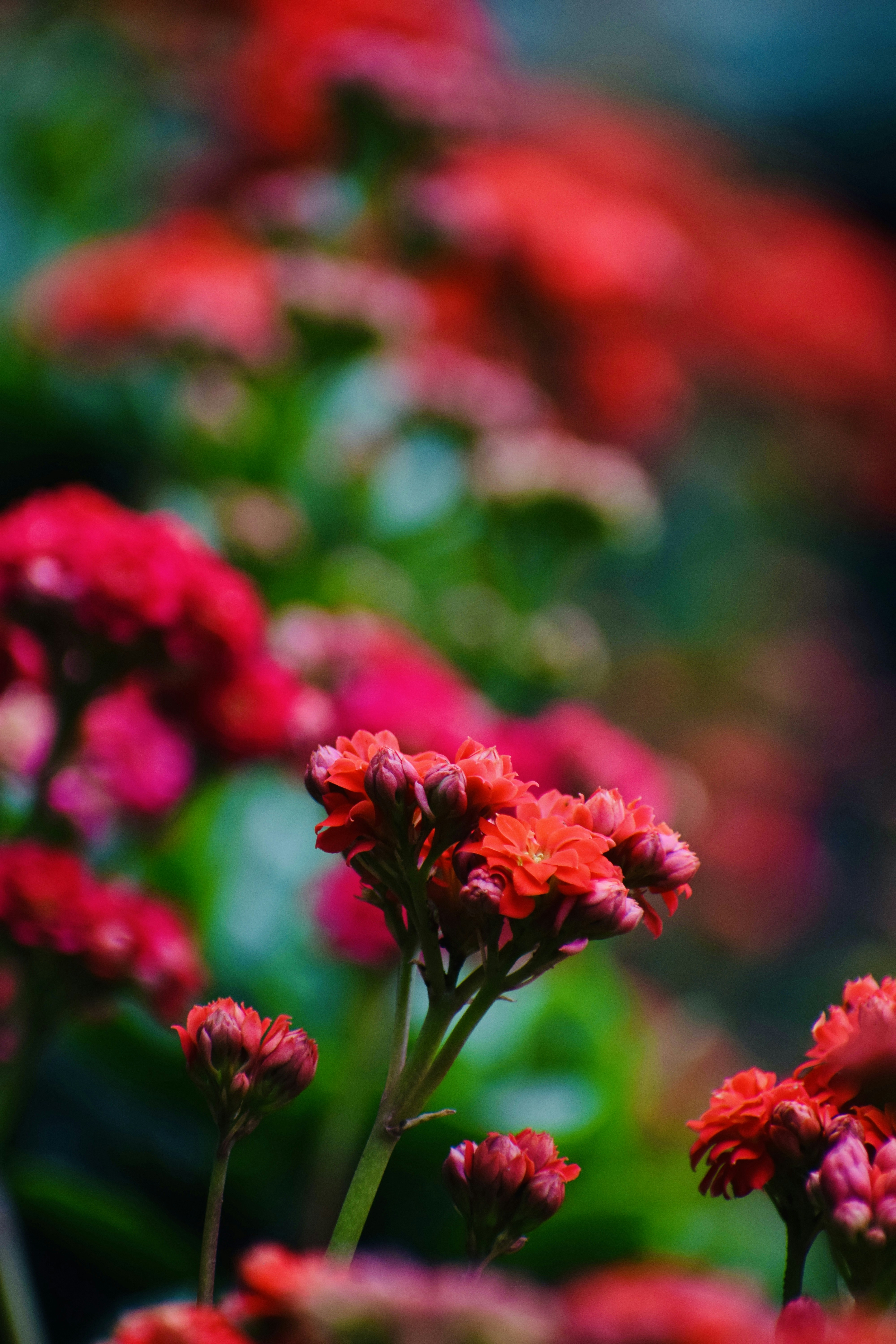 Photo by theushakiran