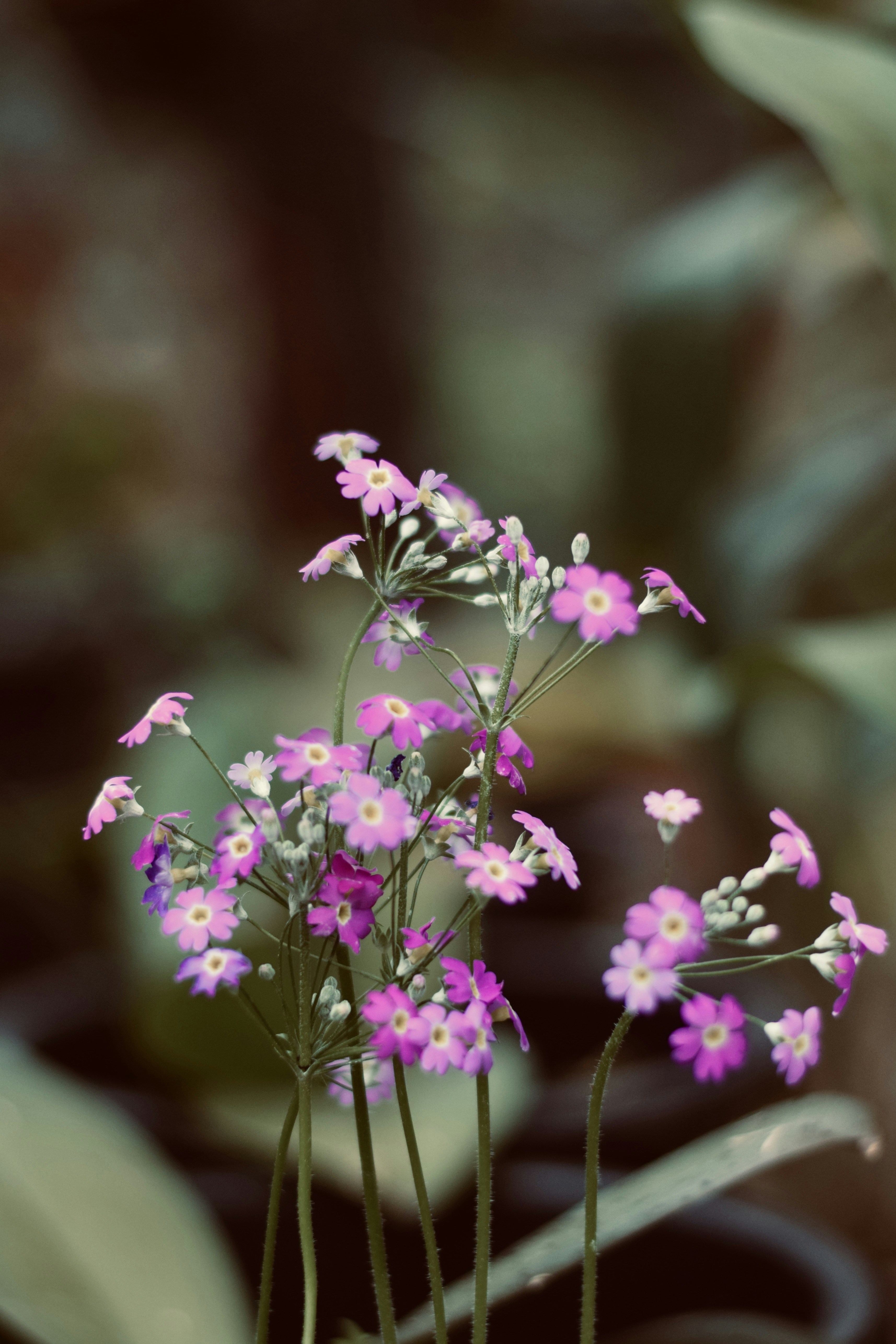 Photo by theushakiran