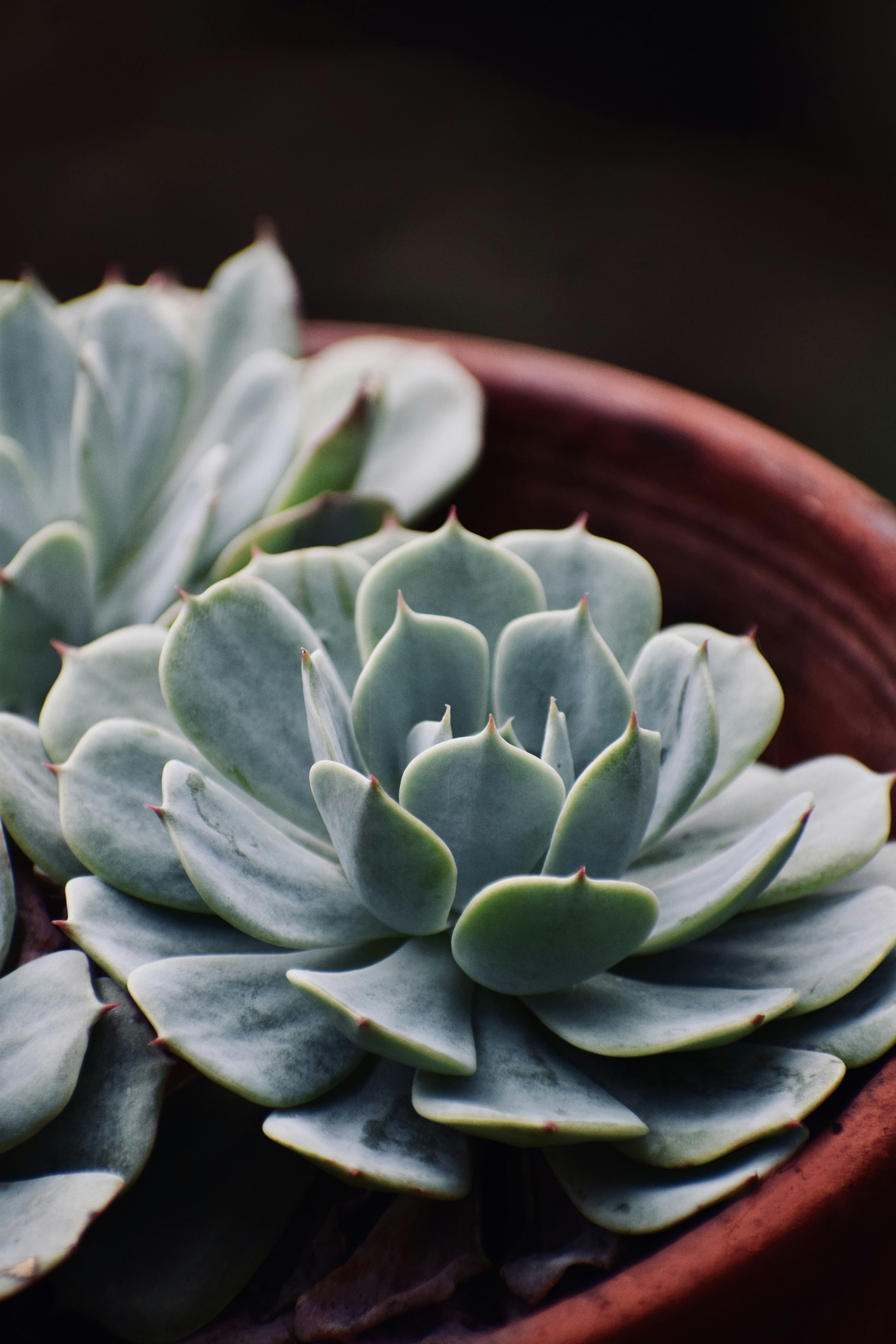 Photo by theushakiran