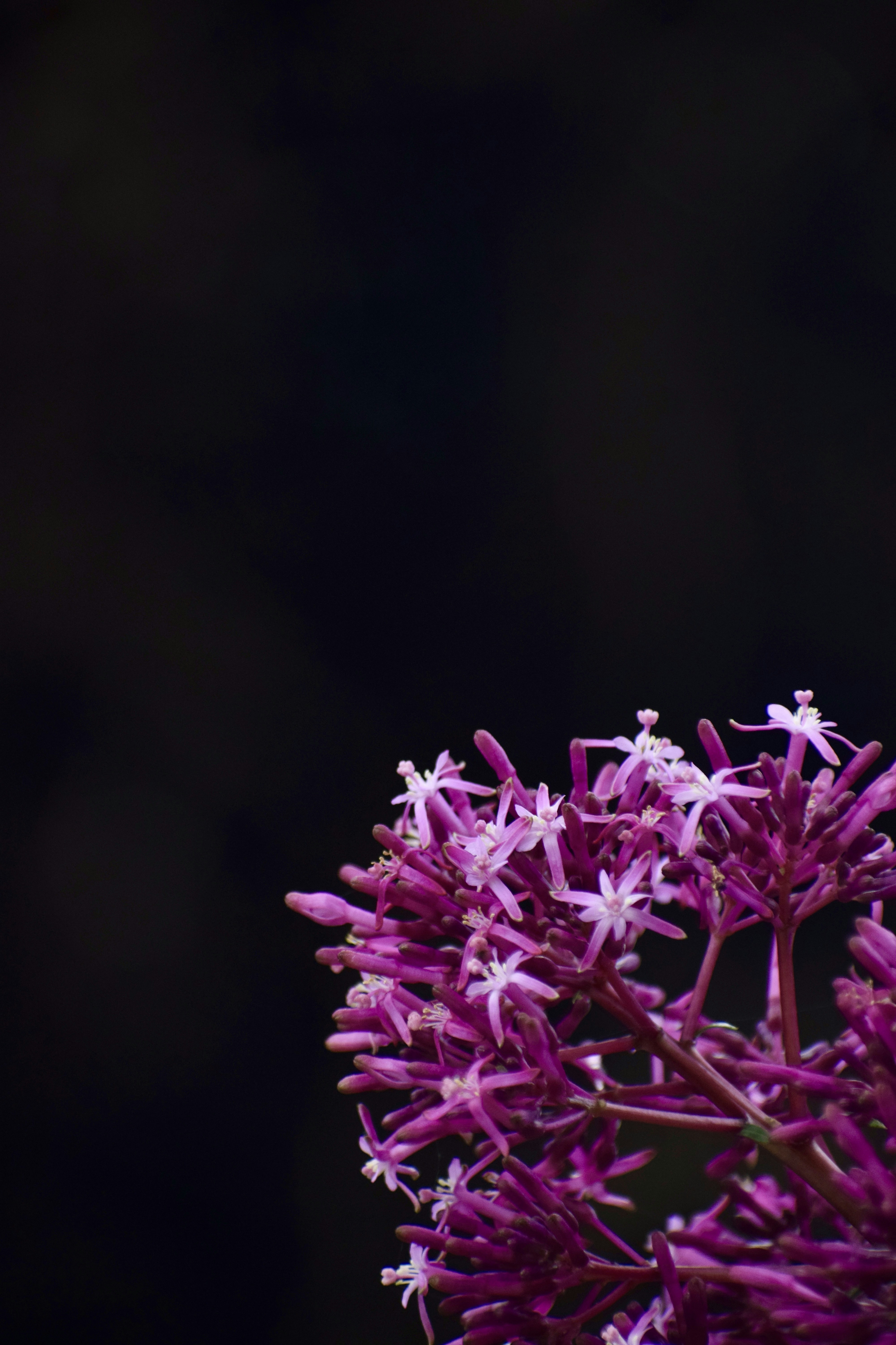 Photo by theushakiran