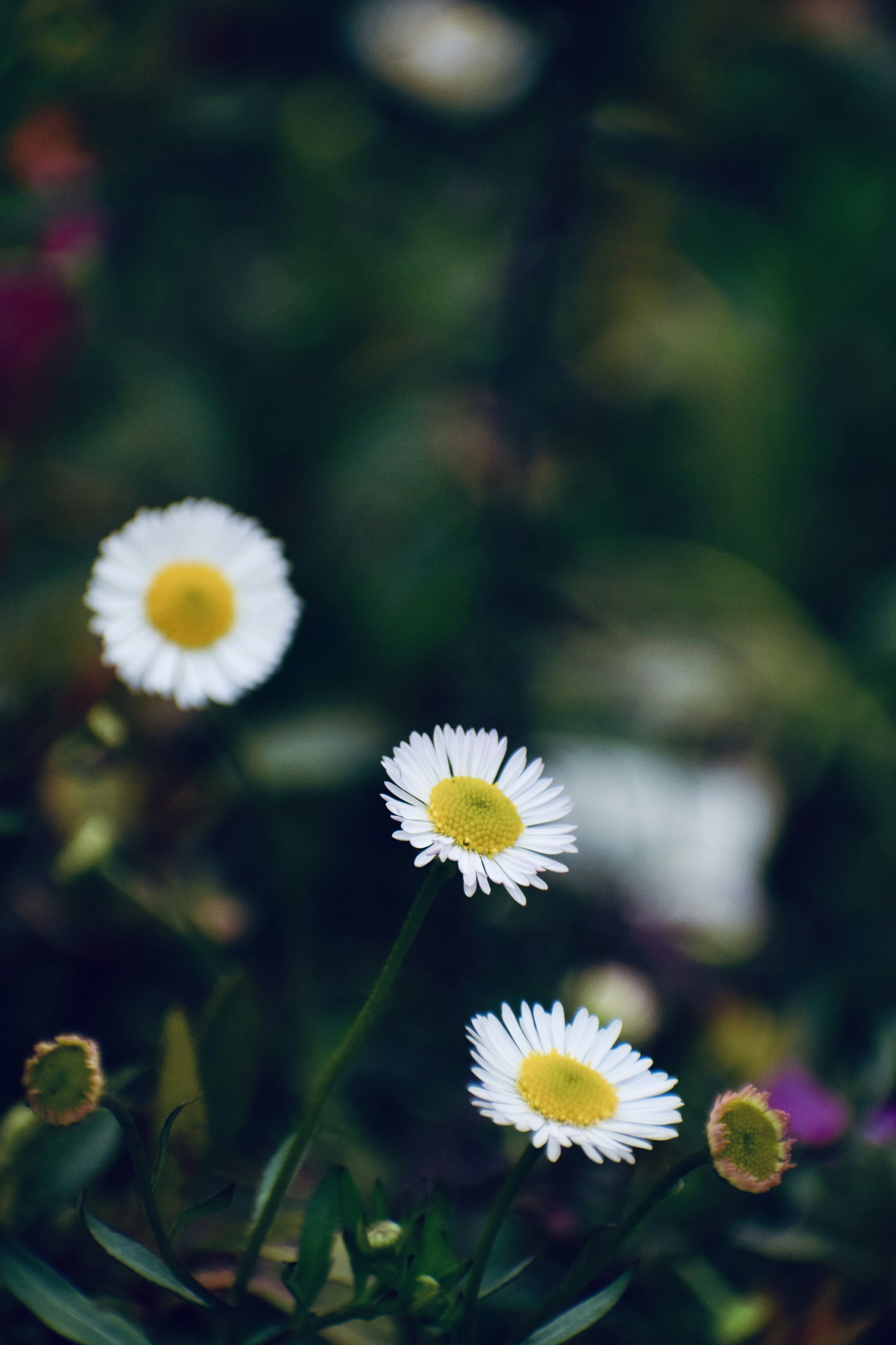 Photo by theushakiran