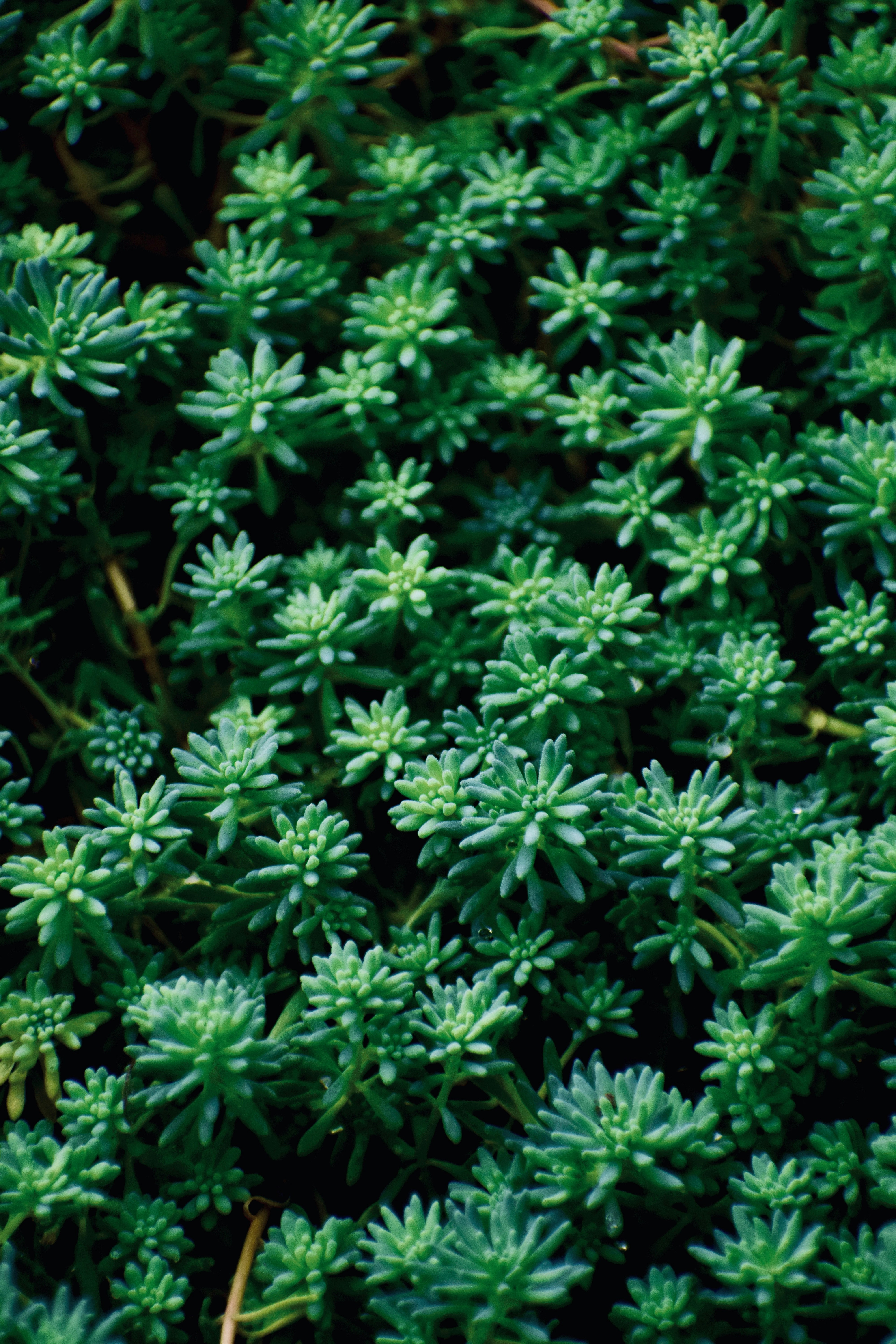 Photo by theushakiran