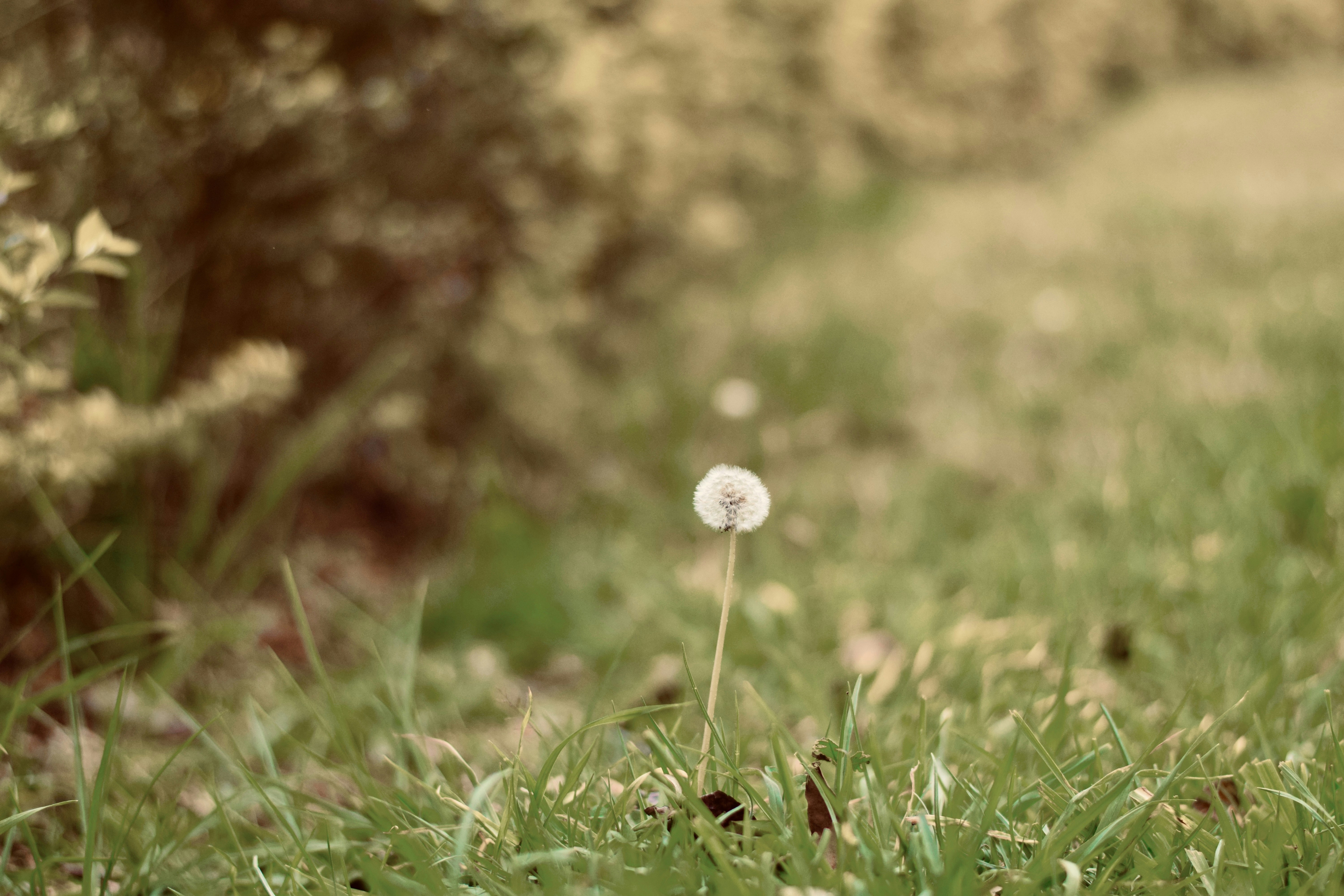 Photo by theushakiran