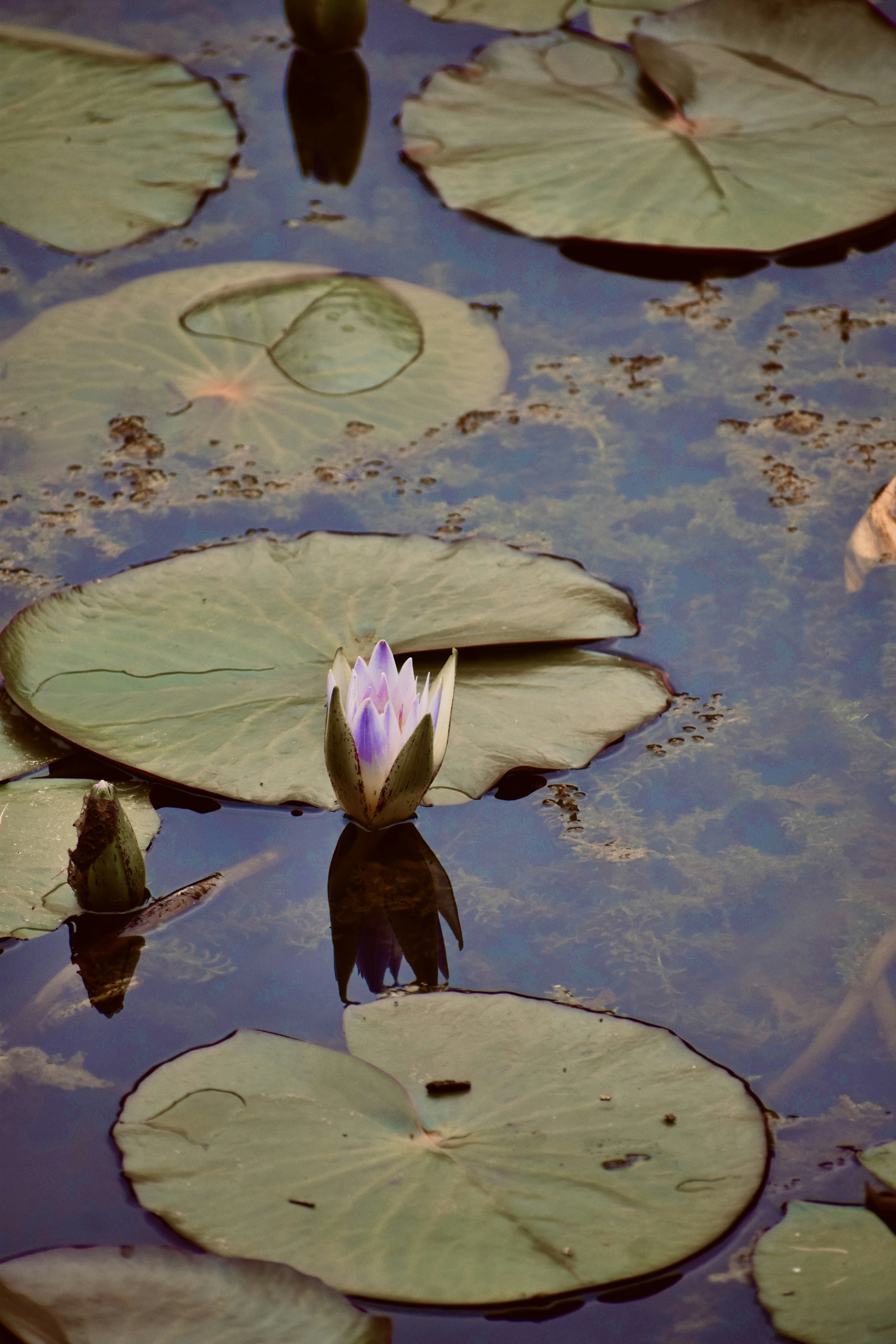 Photo by theushakiran