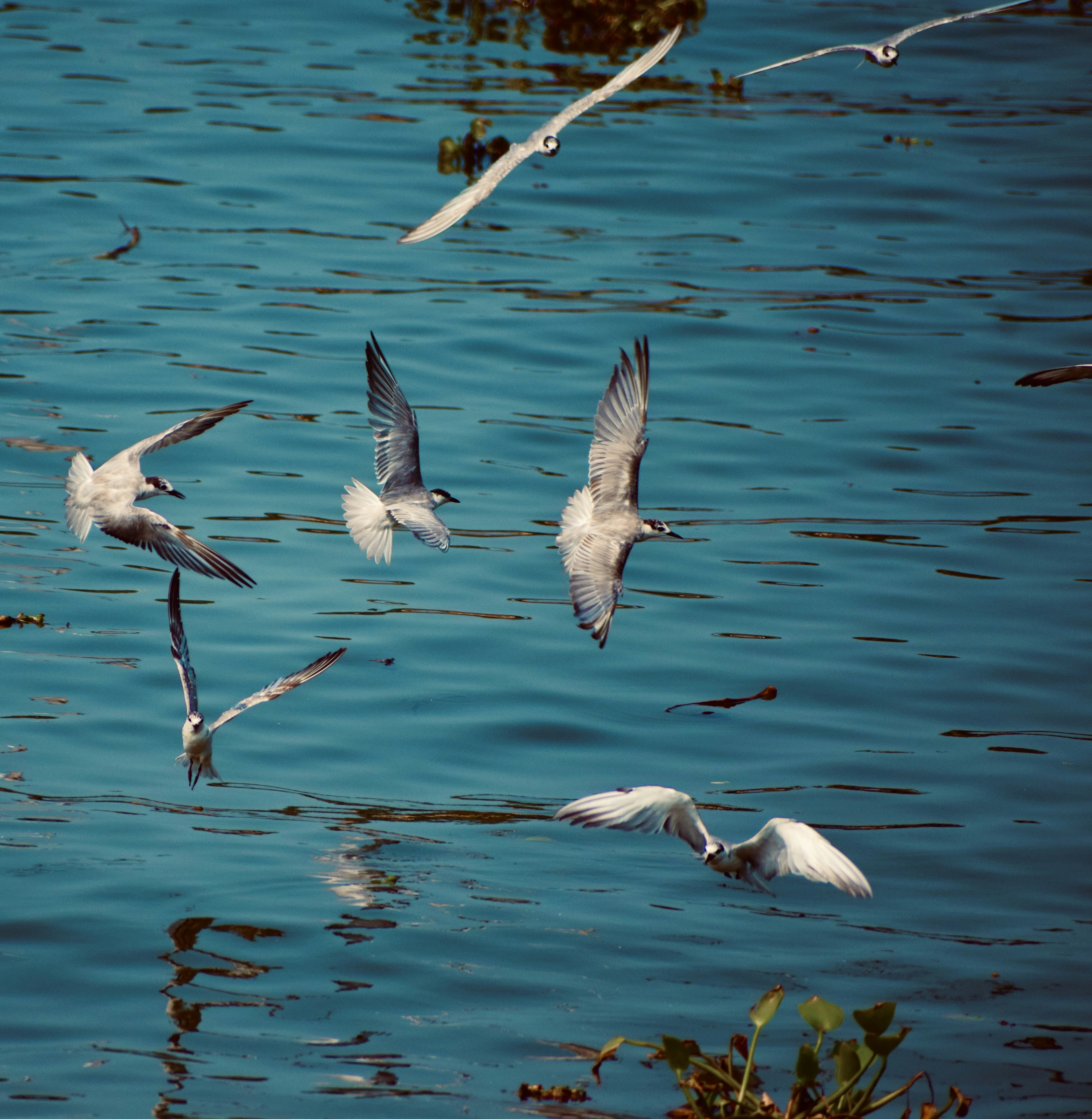 Photo by theushakiran