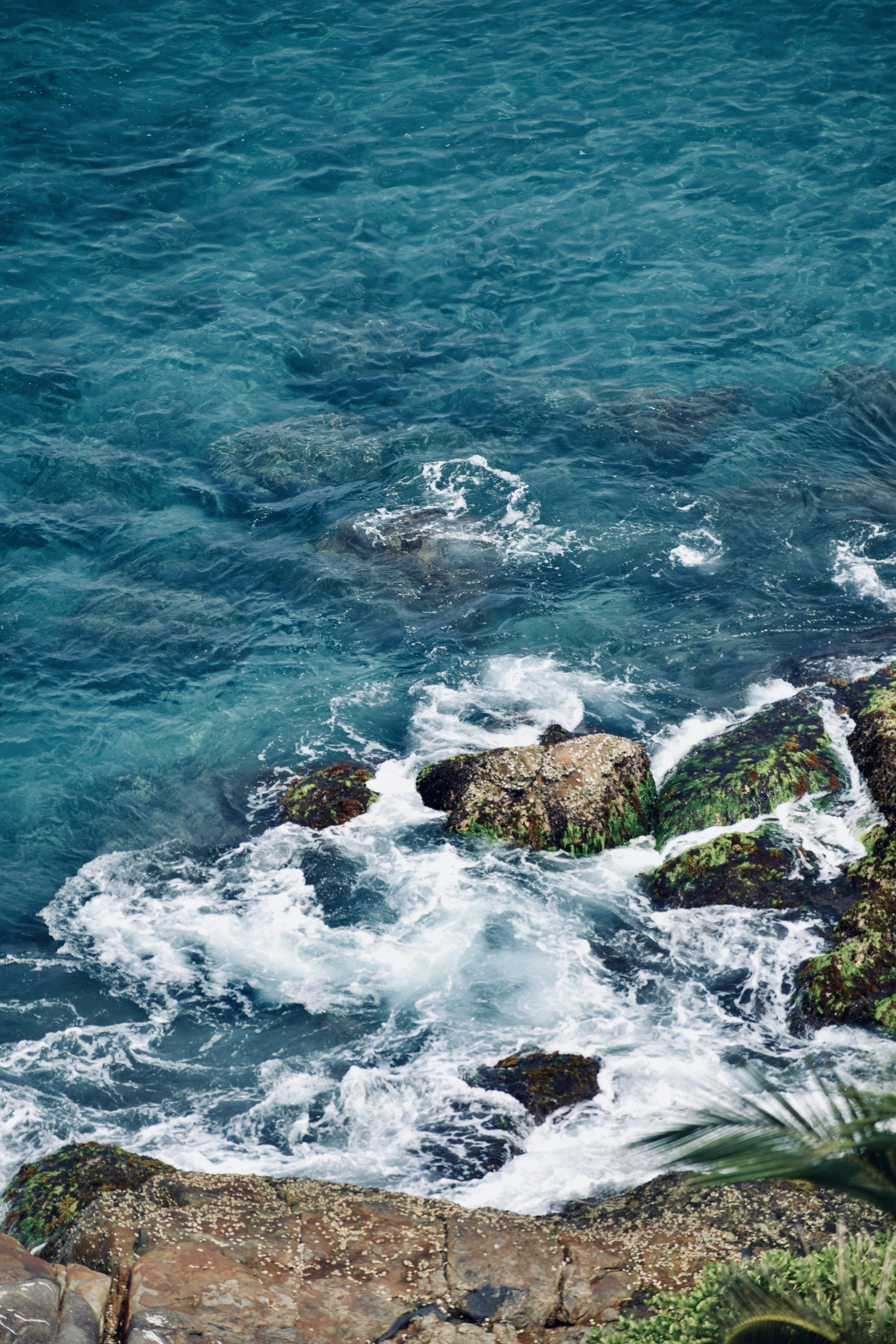 Photo by theushakiran