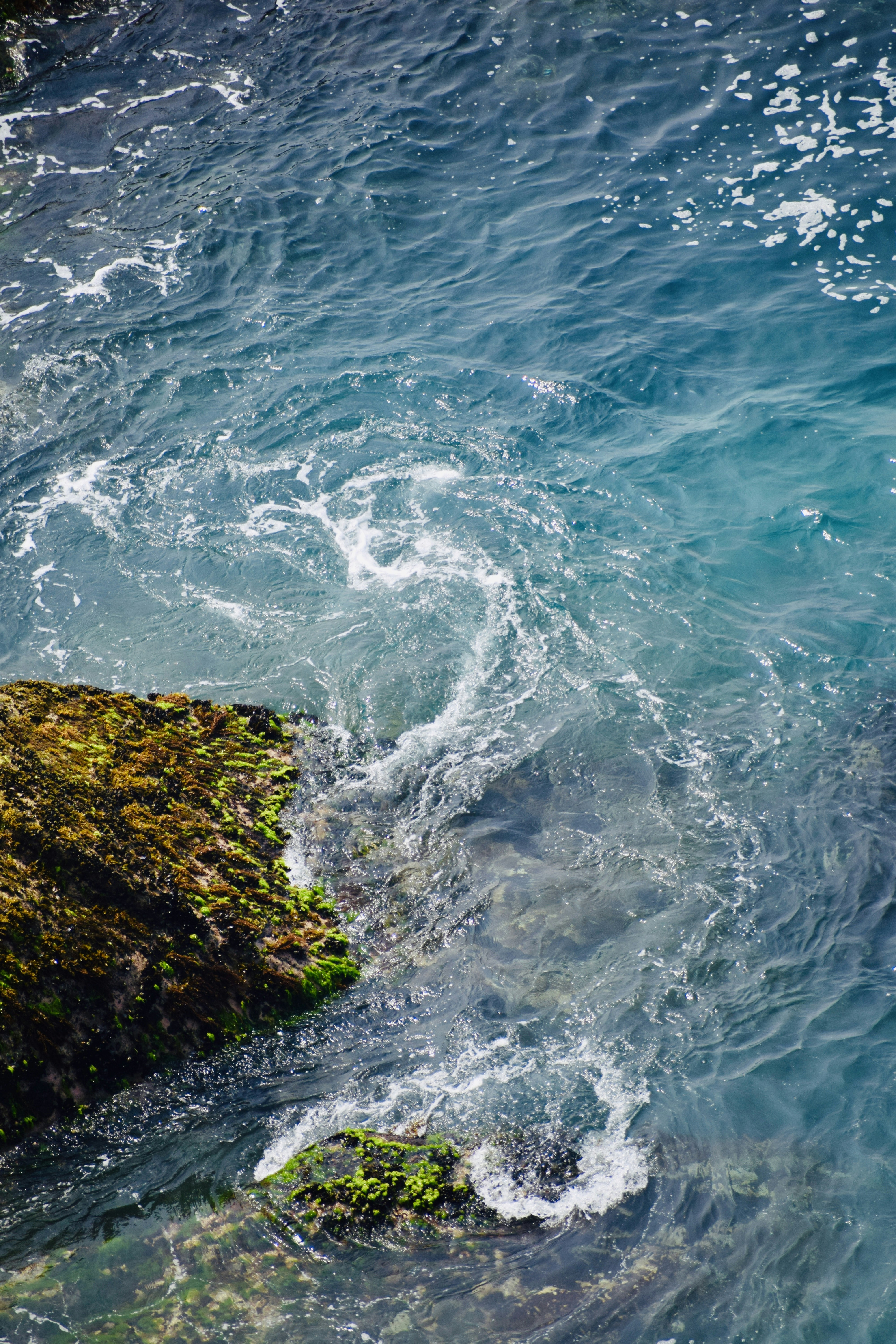 Photo by theushakiran