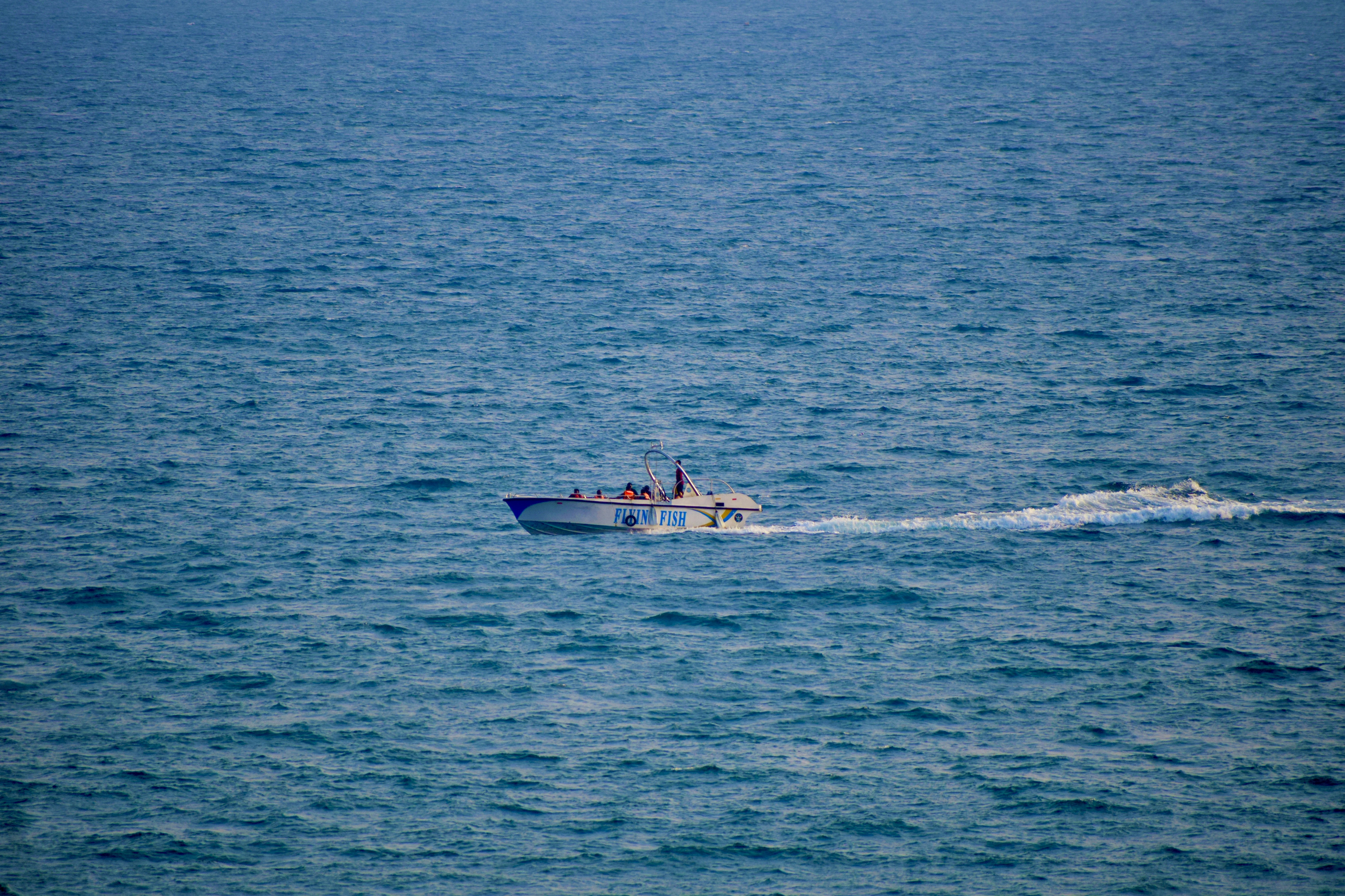 Photo by theushakiran