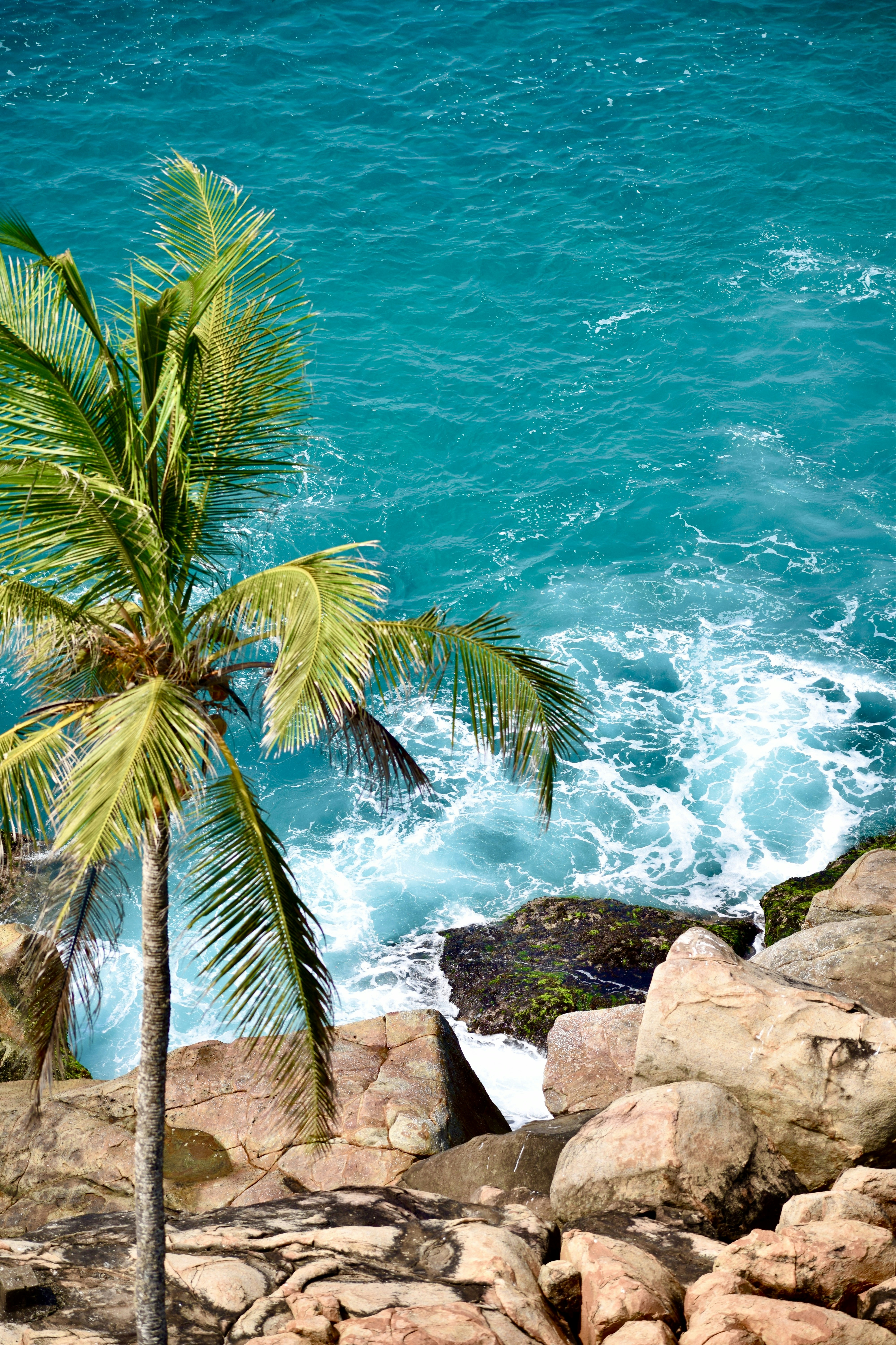 Photo by theushakiran