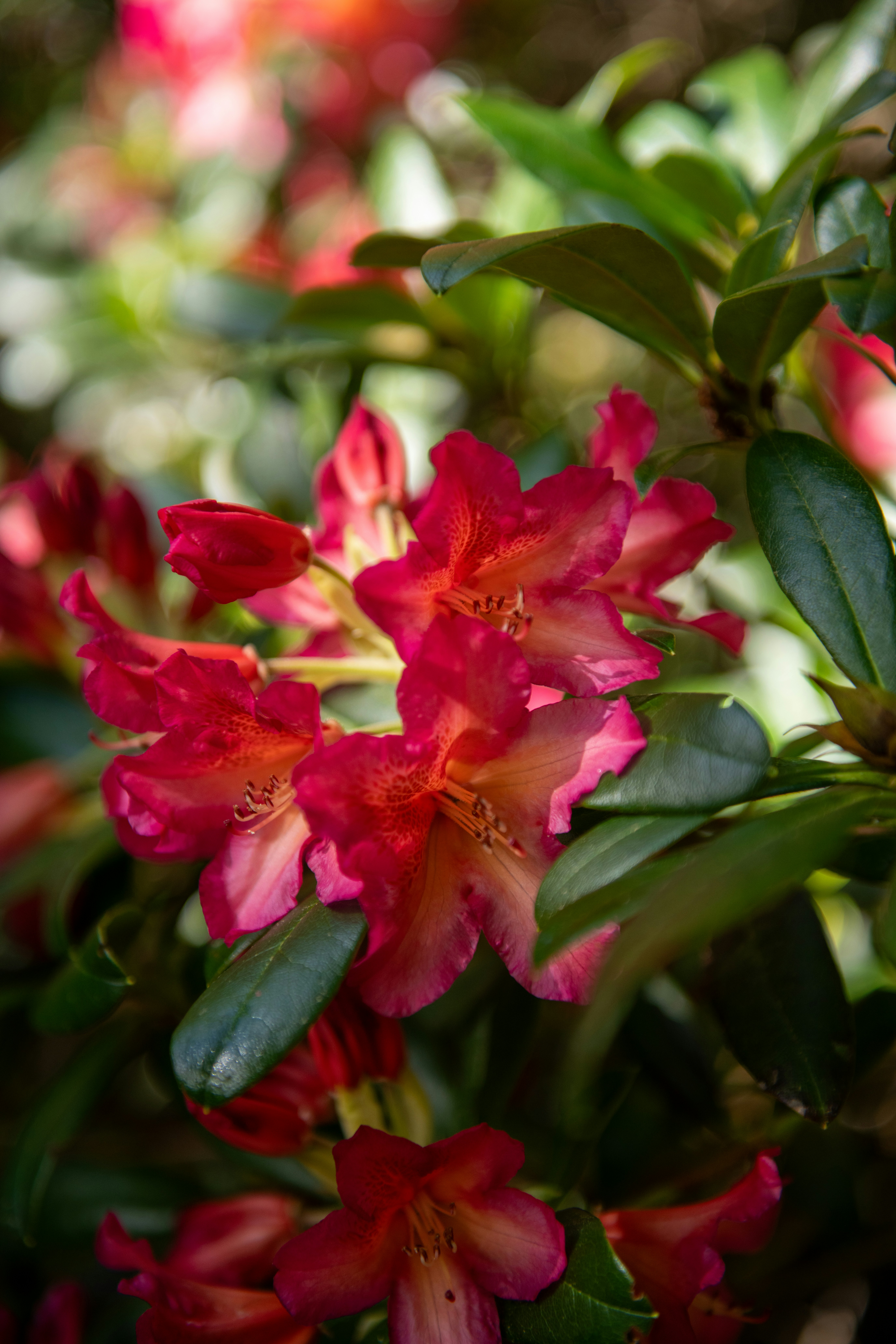 Photo by hlandkammer