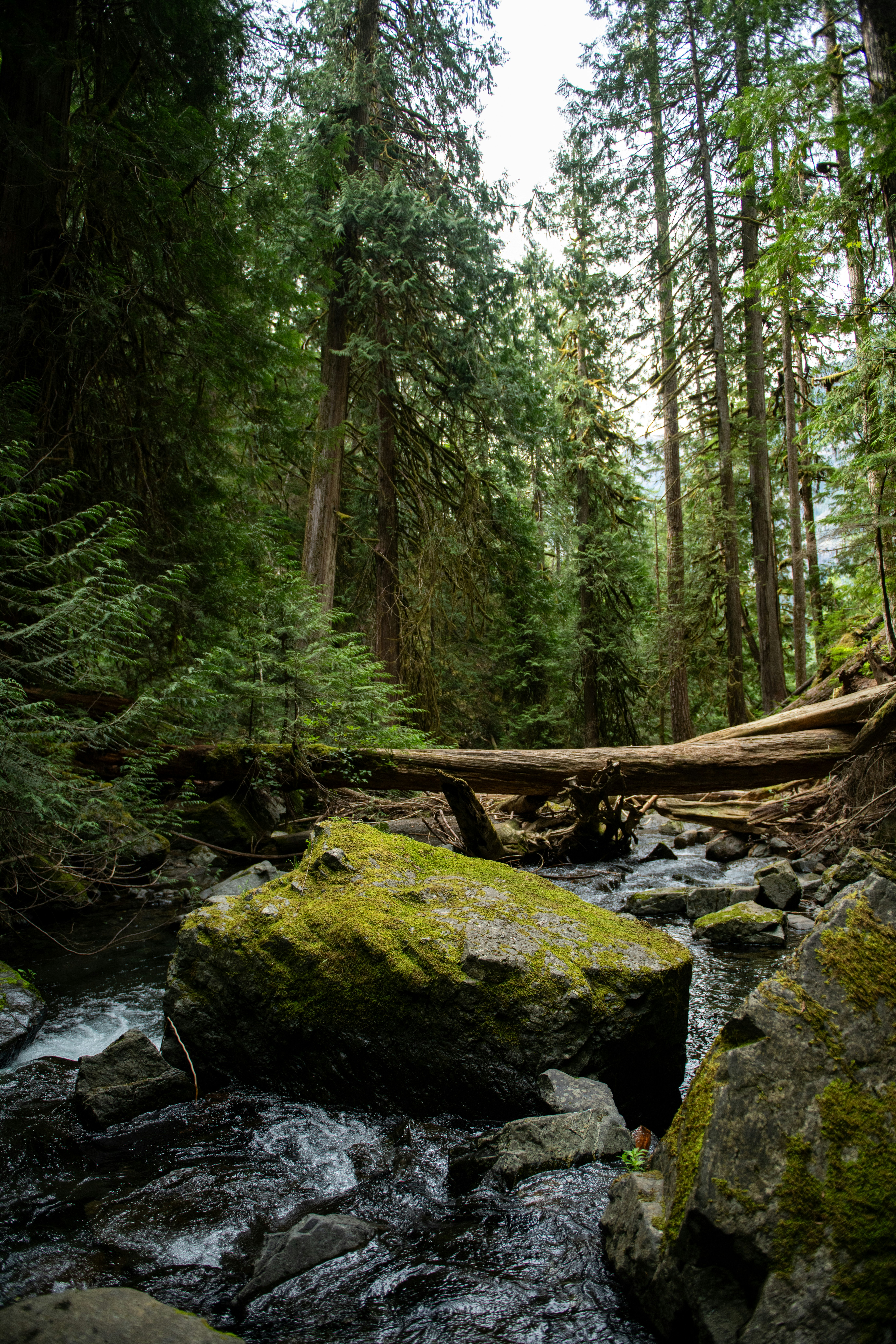 Photo by hlandkammer