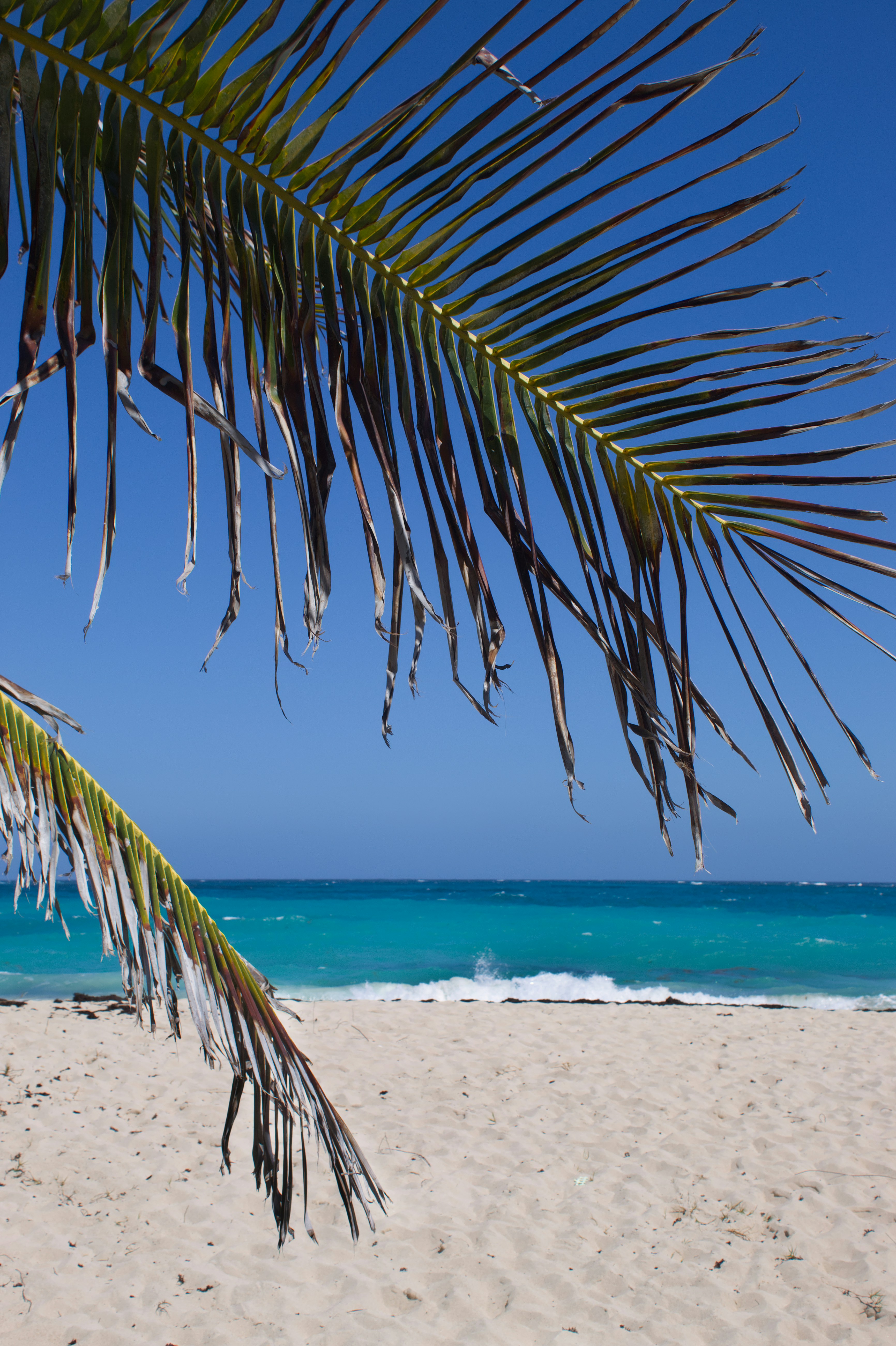 Photo by spaceboundstudio