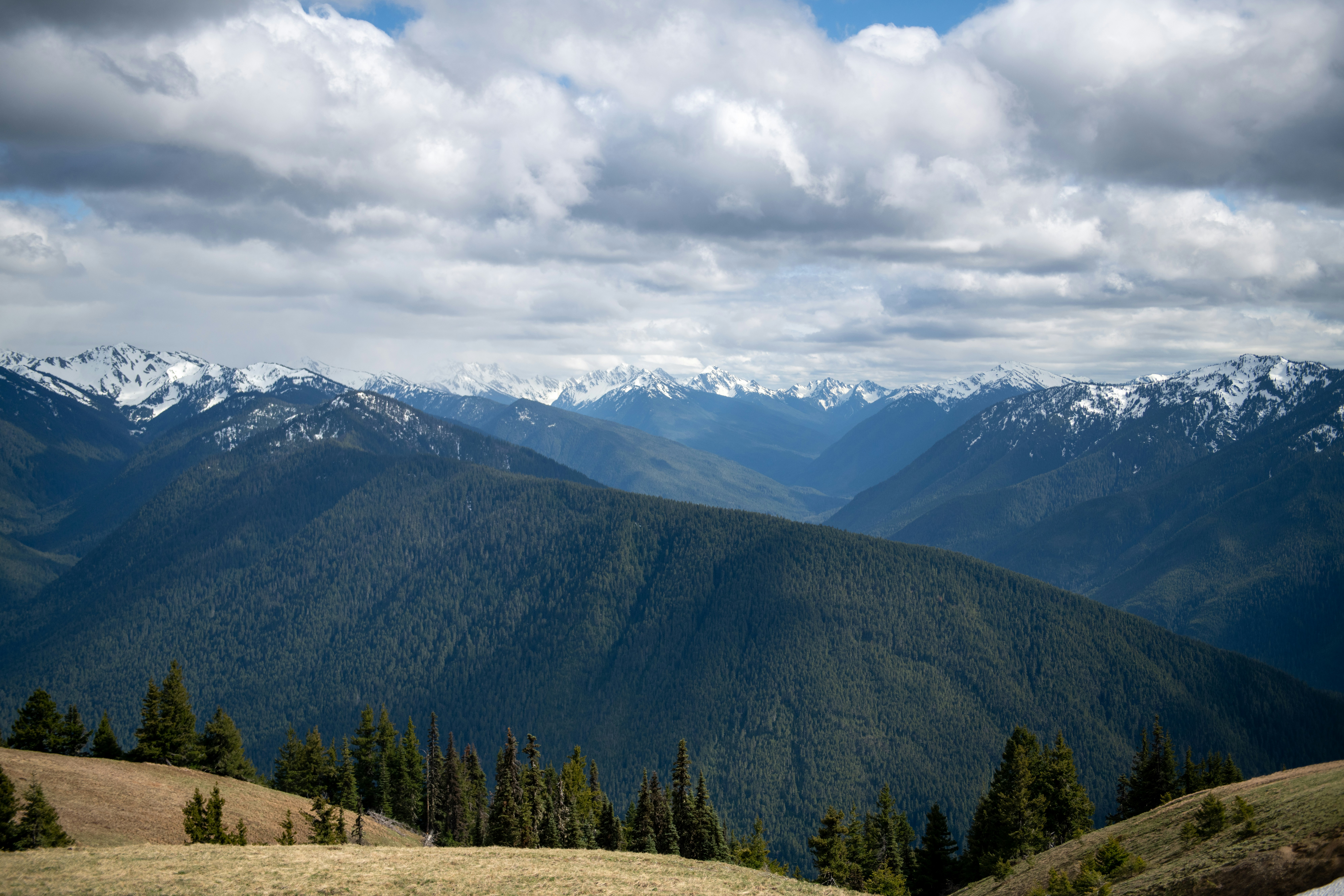 Photo by hlandkammer