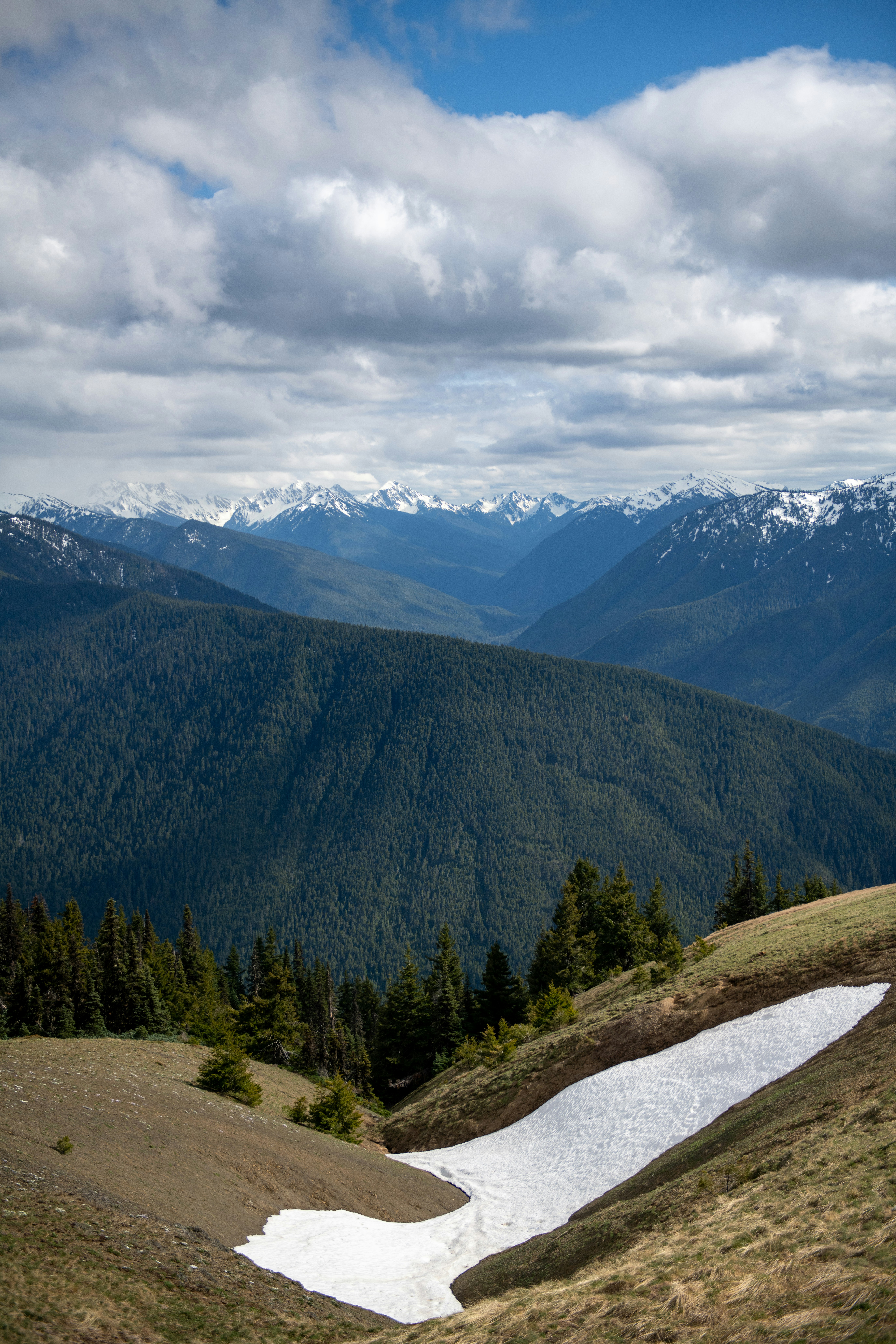 Photo by hlandkammer