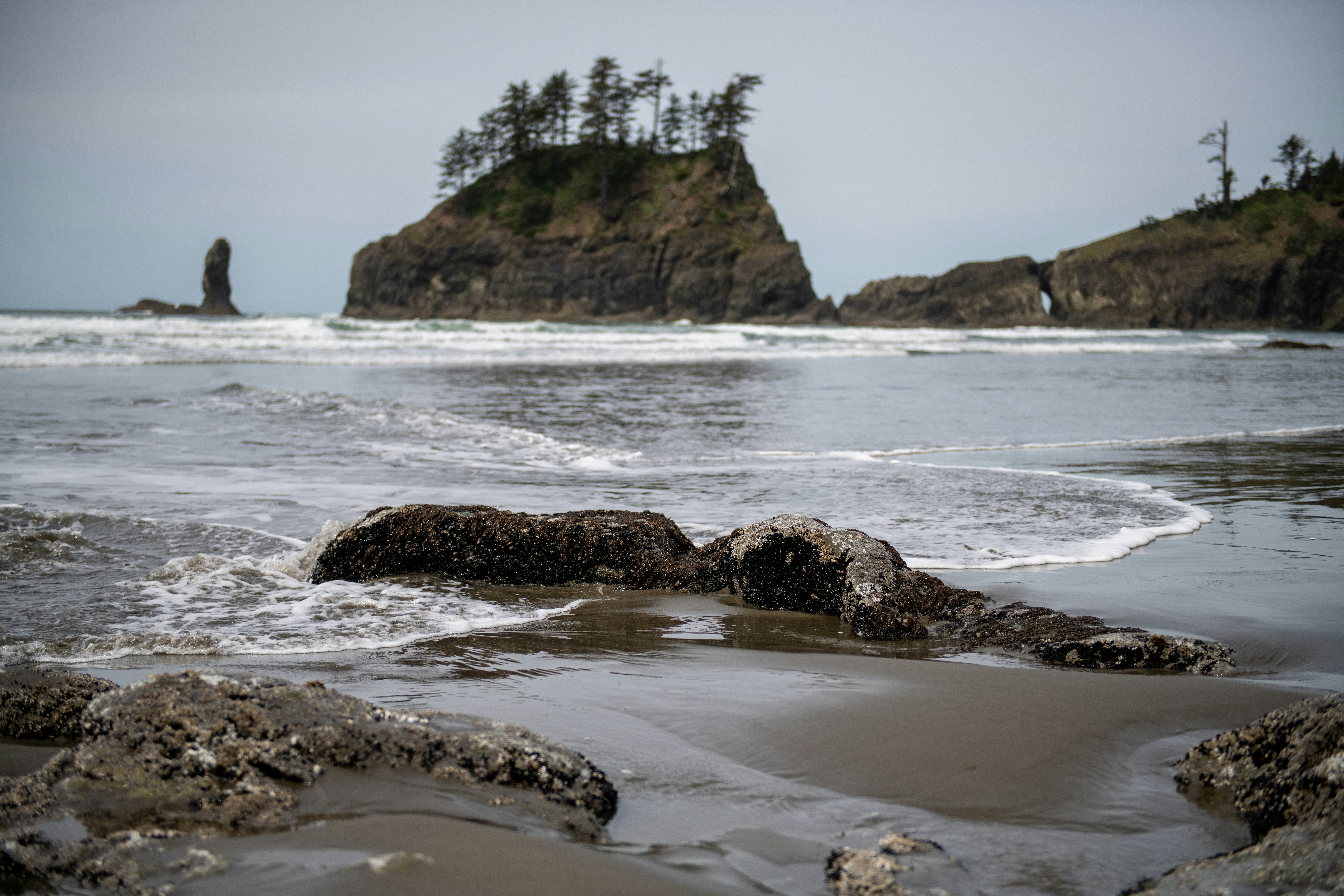 Photo by hlandkammer