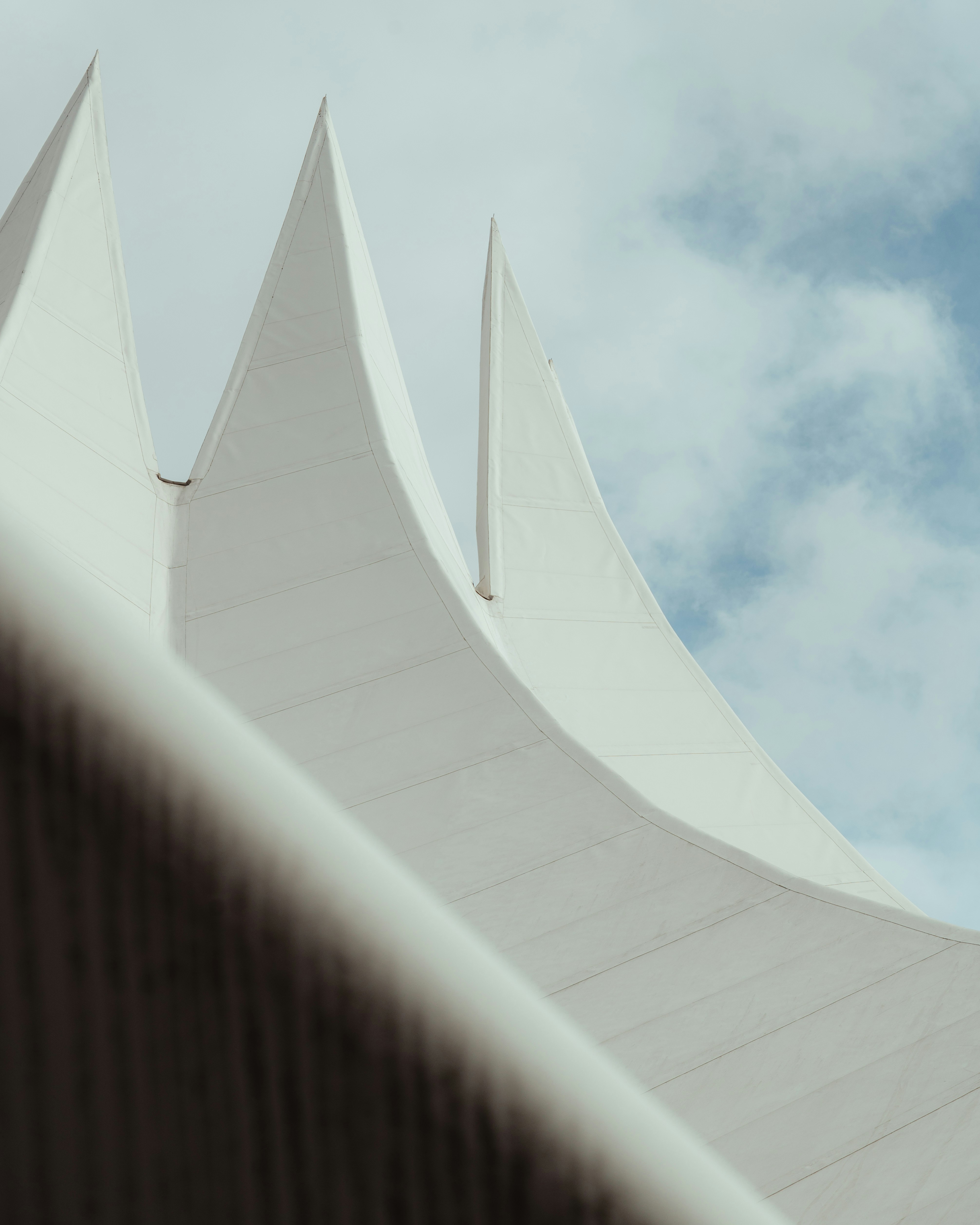 Photo by luca_severin