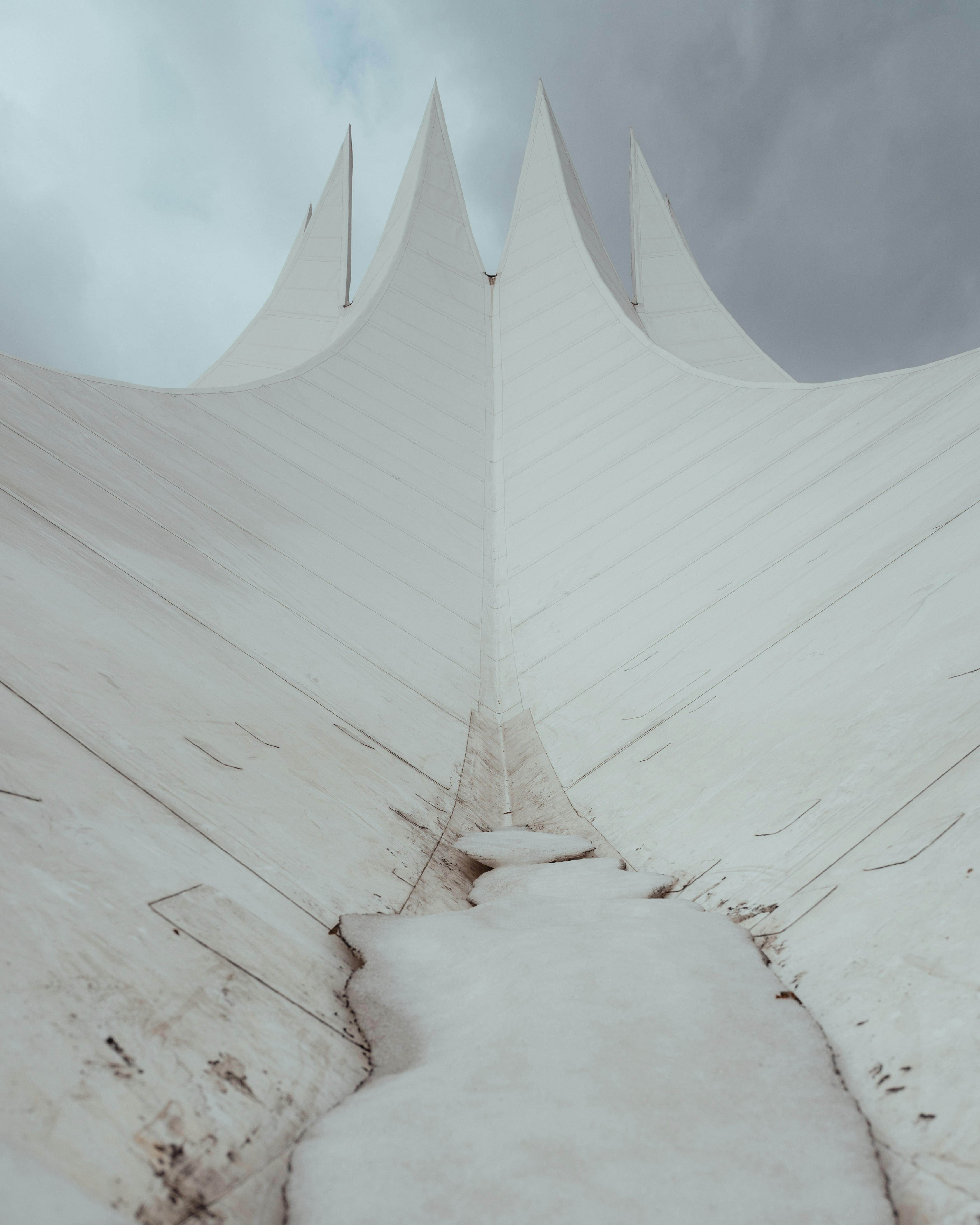 Photo by luca_severin