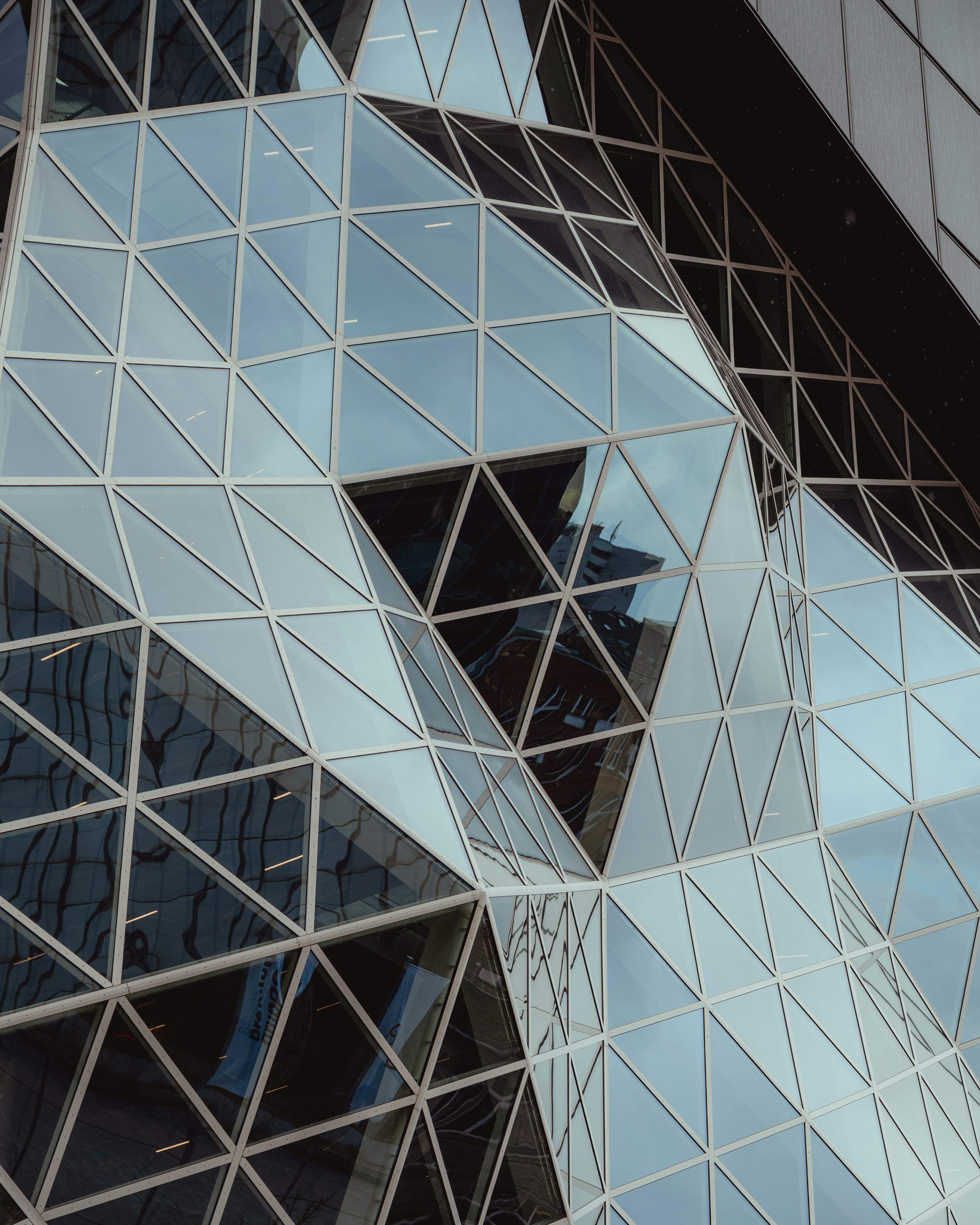 Photo by luca_severin