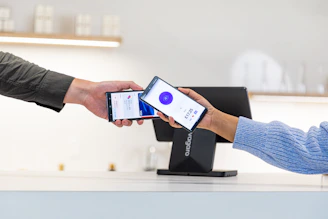 Nelvis accounting service