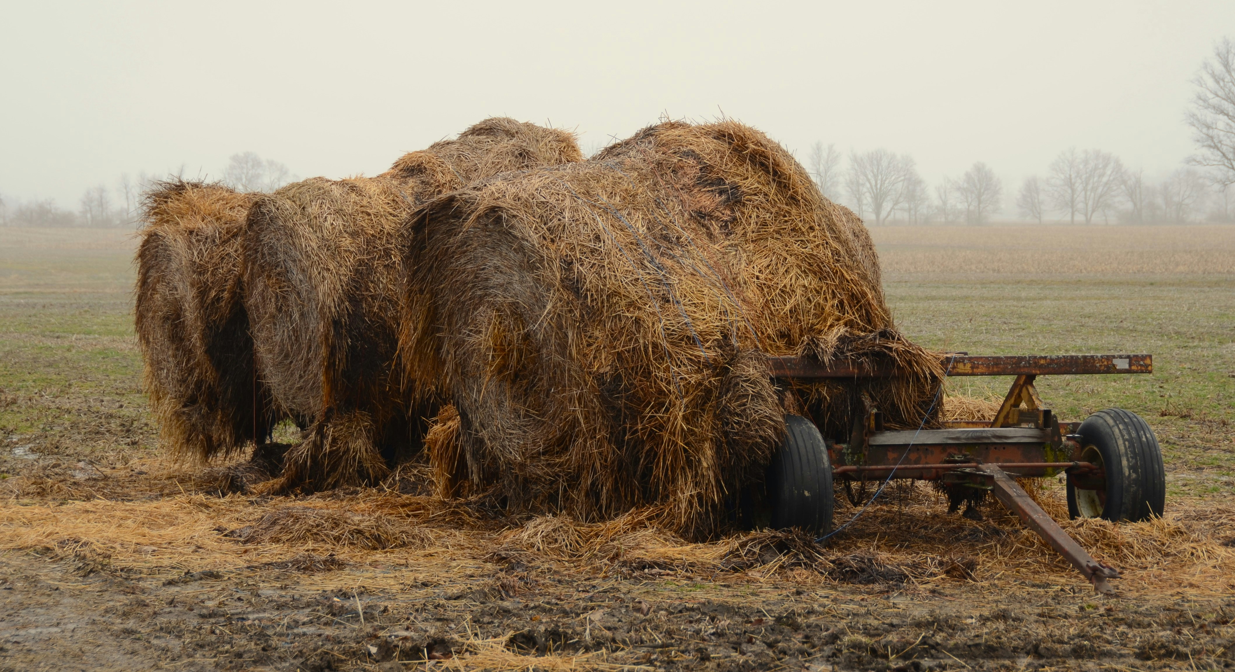 Un modèle agricole à bout de souffle