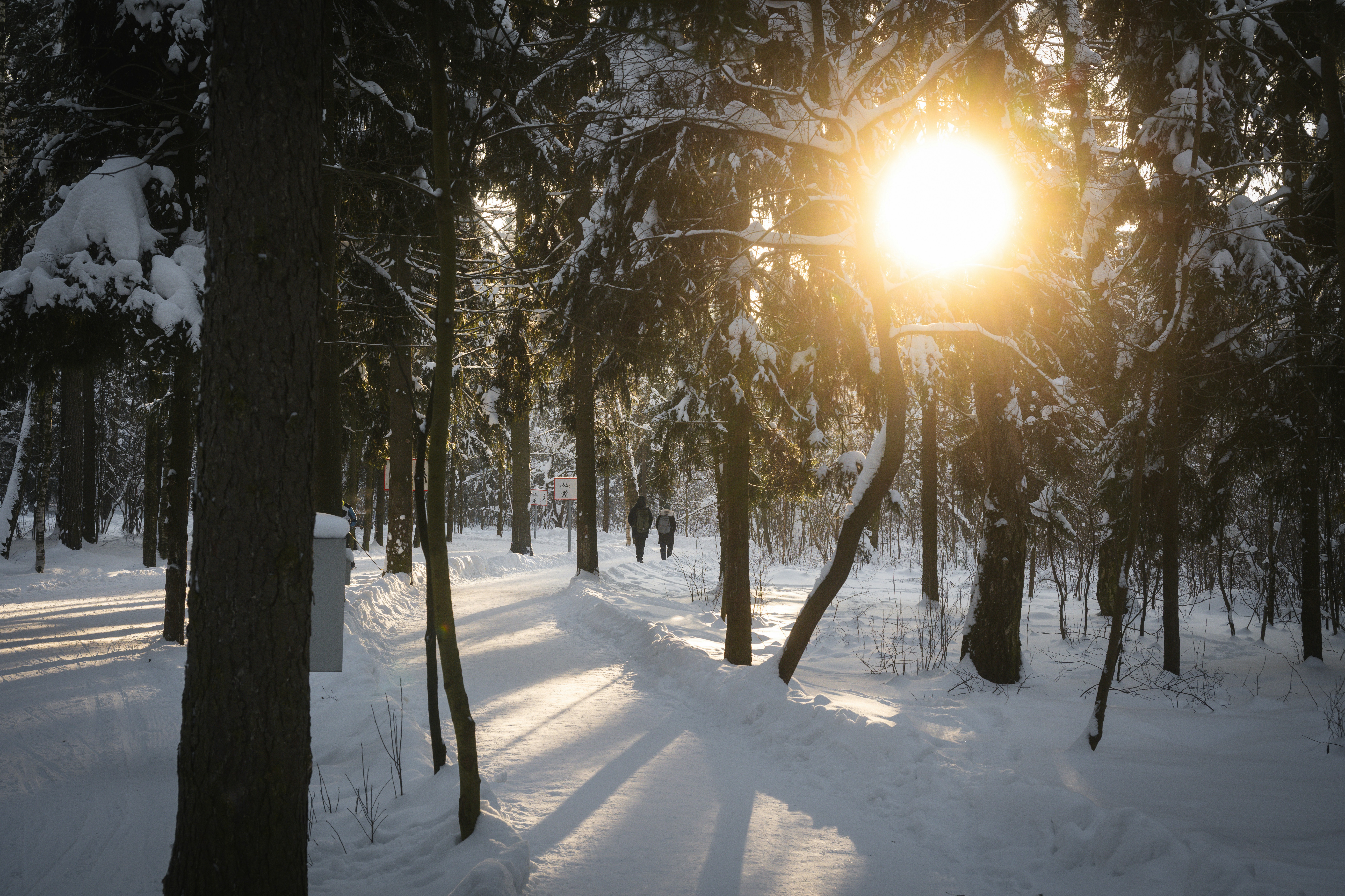 Photo by andreystrizhkov