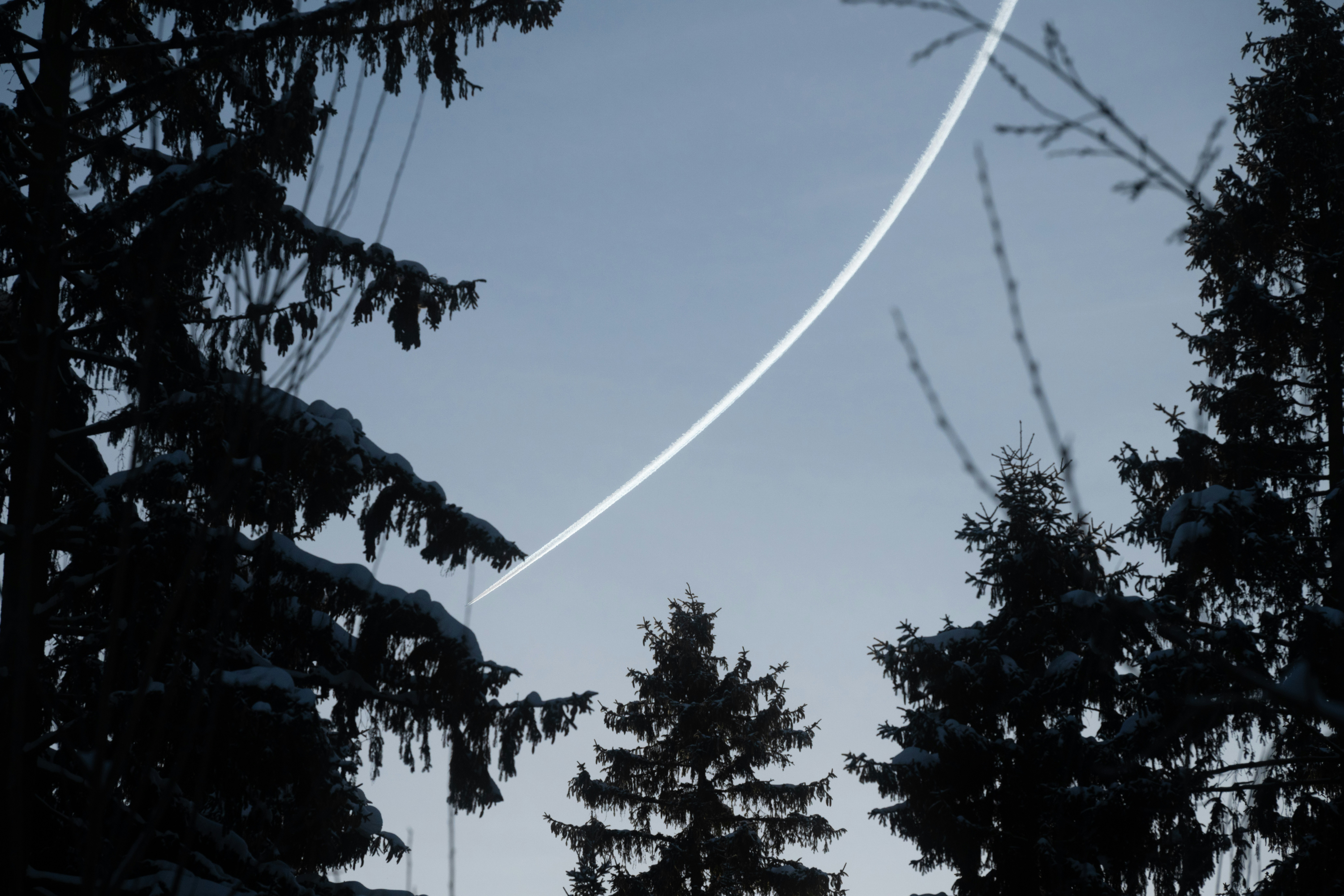 Snowy trees against a twilight sky with a light streak.