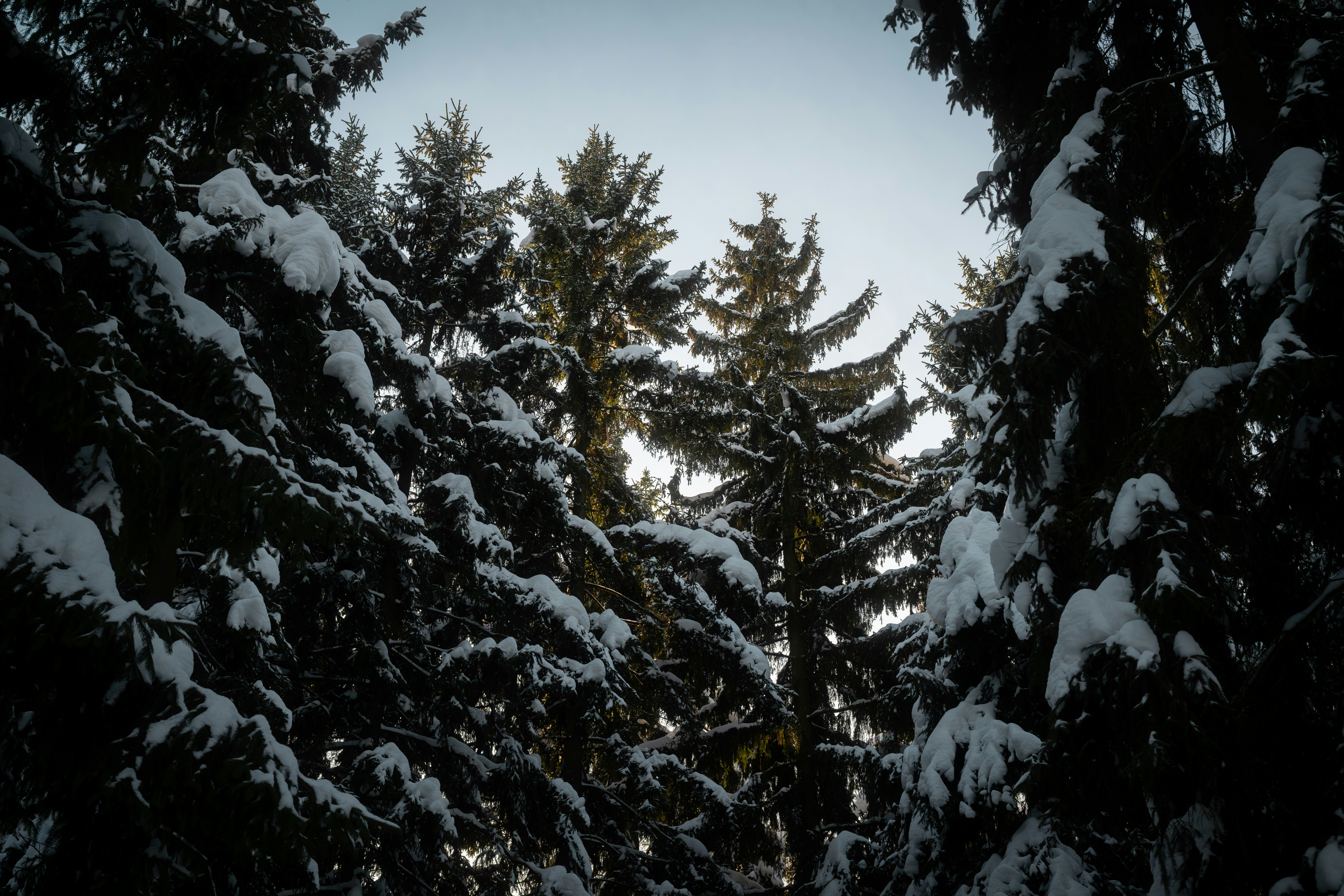 Photo by andreystrizhkov