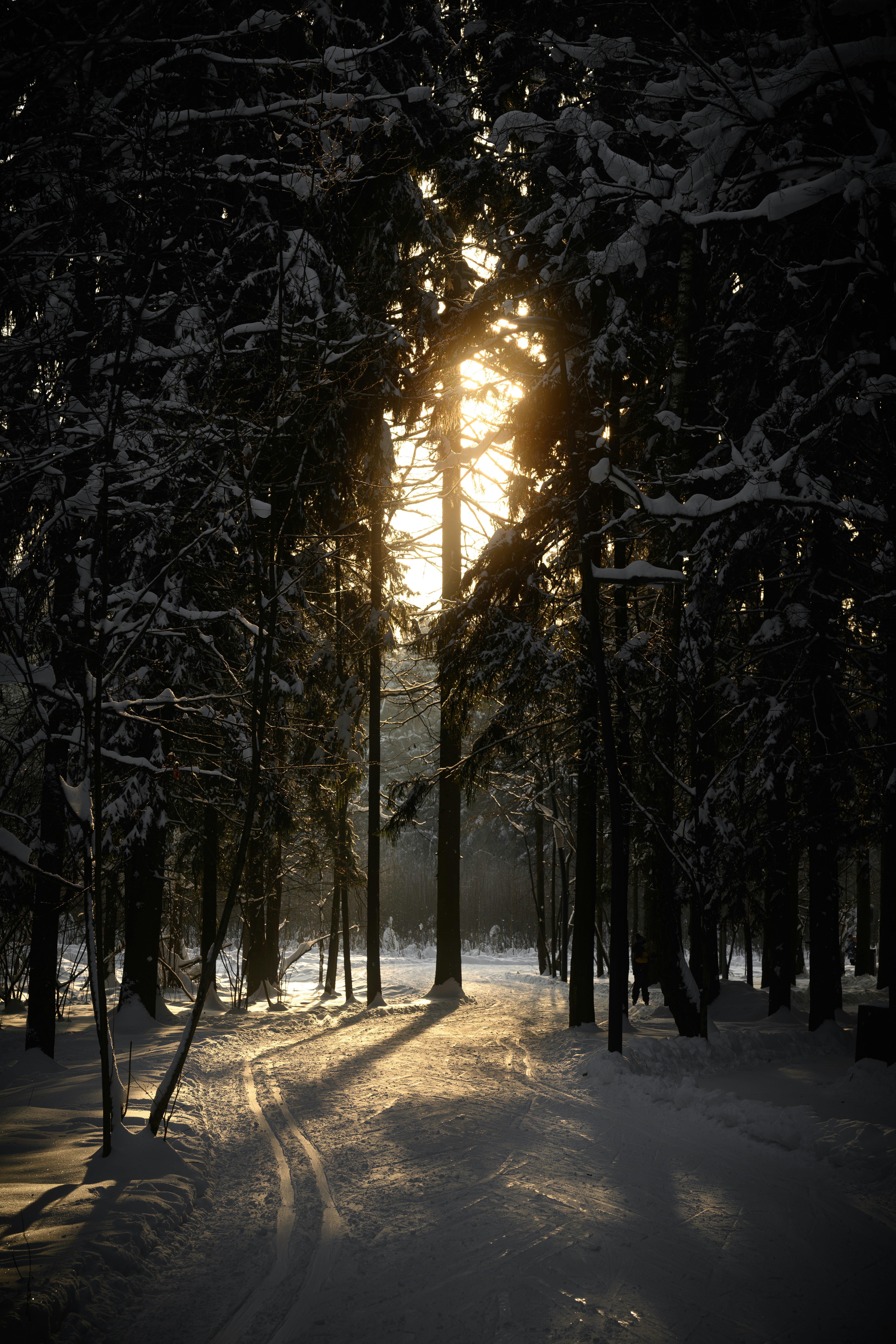 Photo by andreystrizhkov