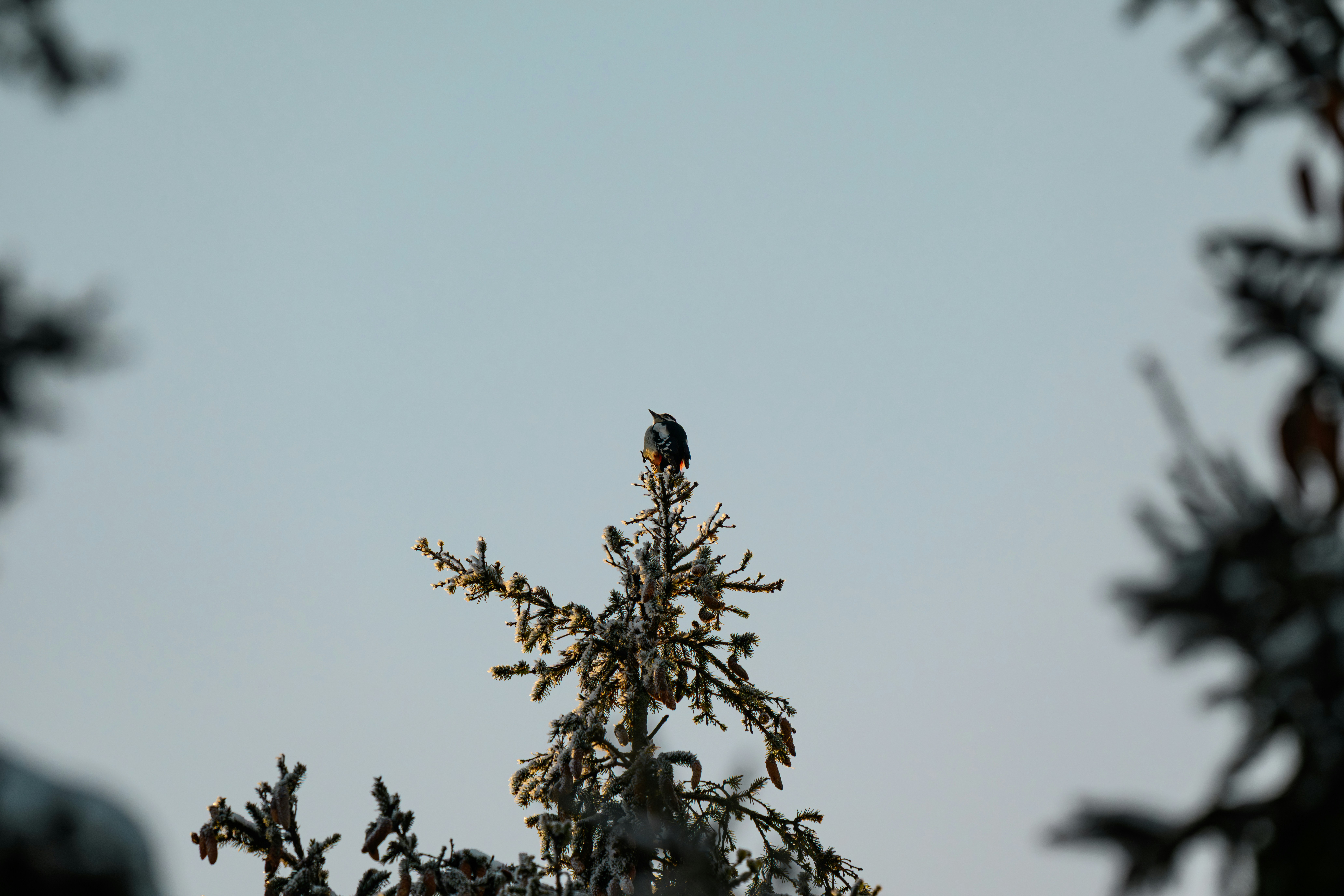 Photo by andreystrizhkov