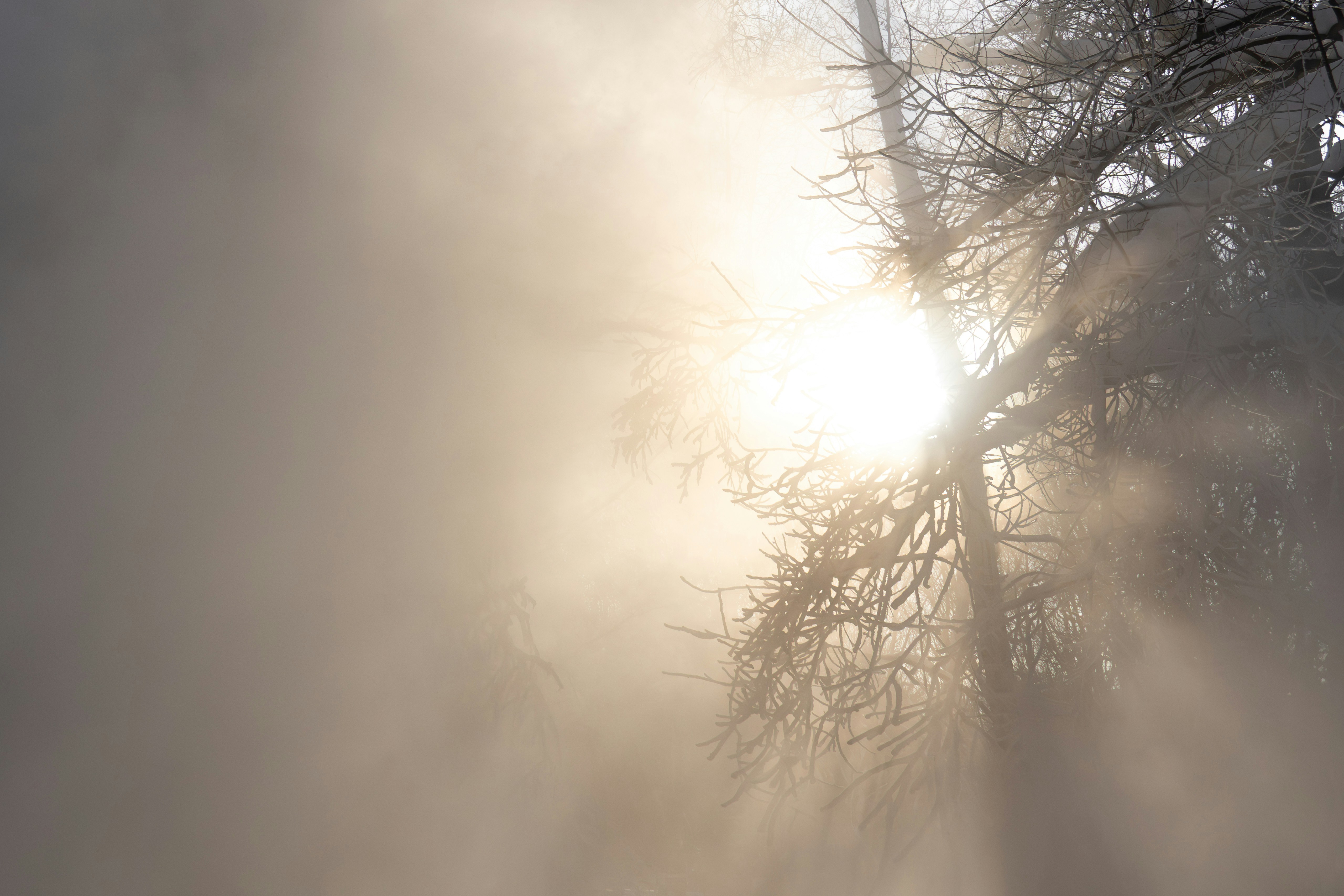 Photo by andreystrizhkov