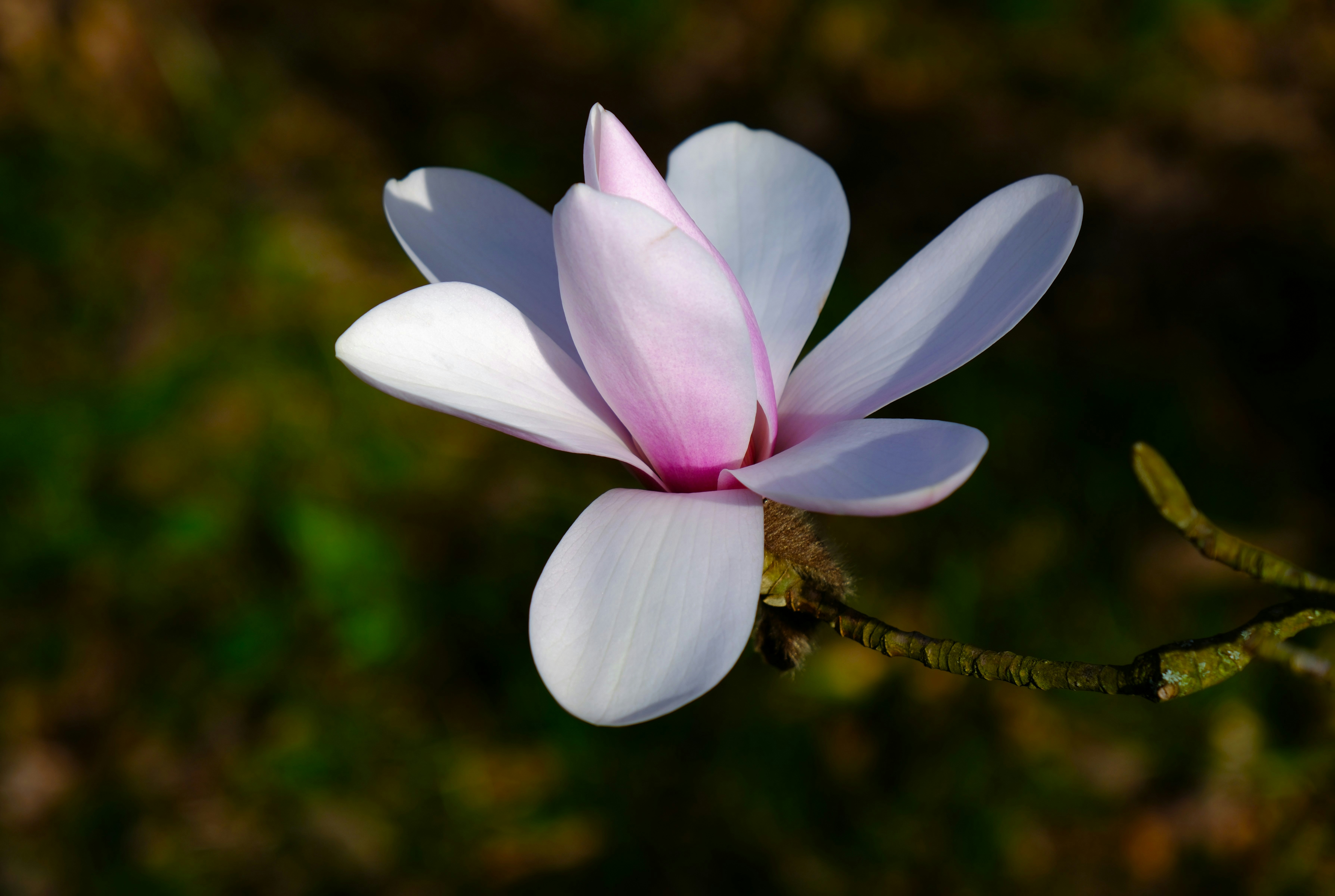 Photo by i_shot_the_sheriff