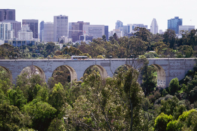An old stone bridge arches over trees with cityscape behind.