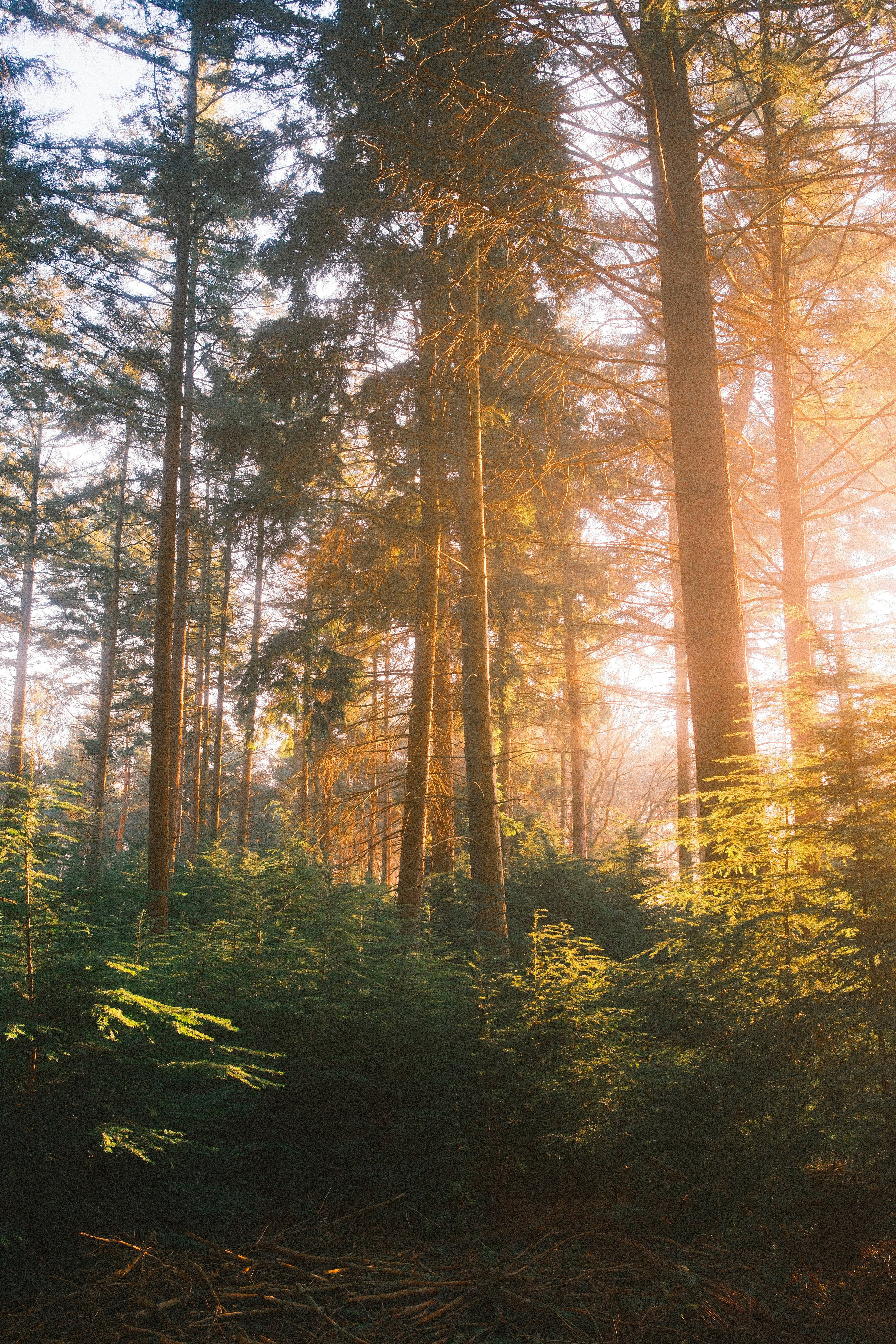 Photo by visualsbying