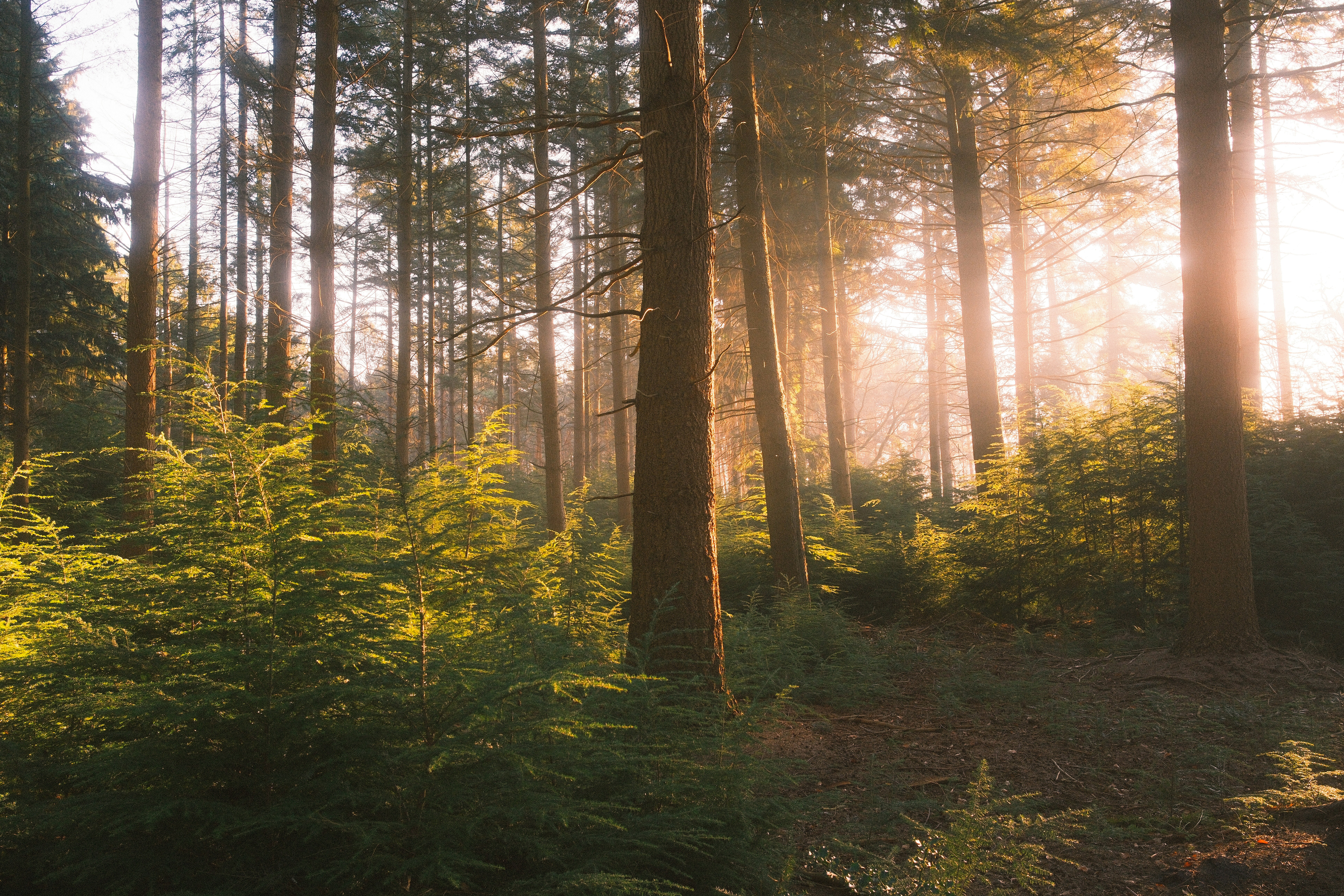 Photo by visualsbying