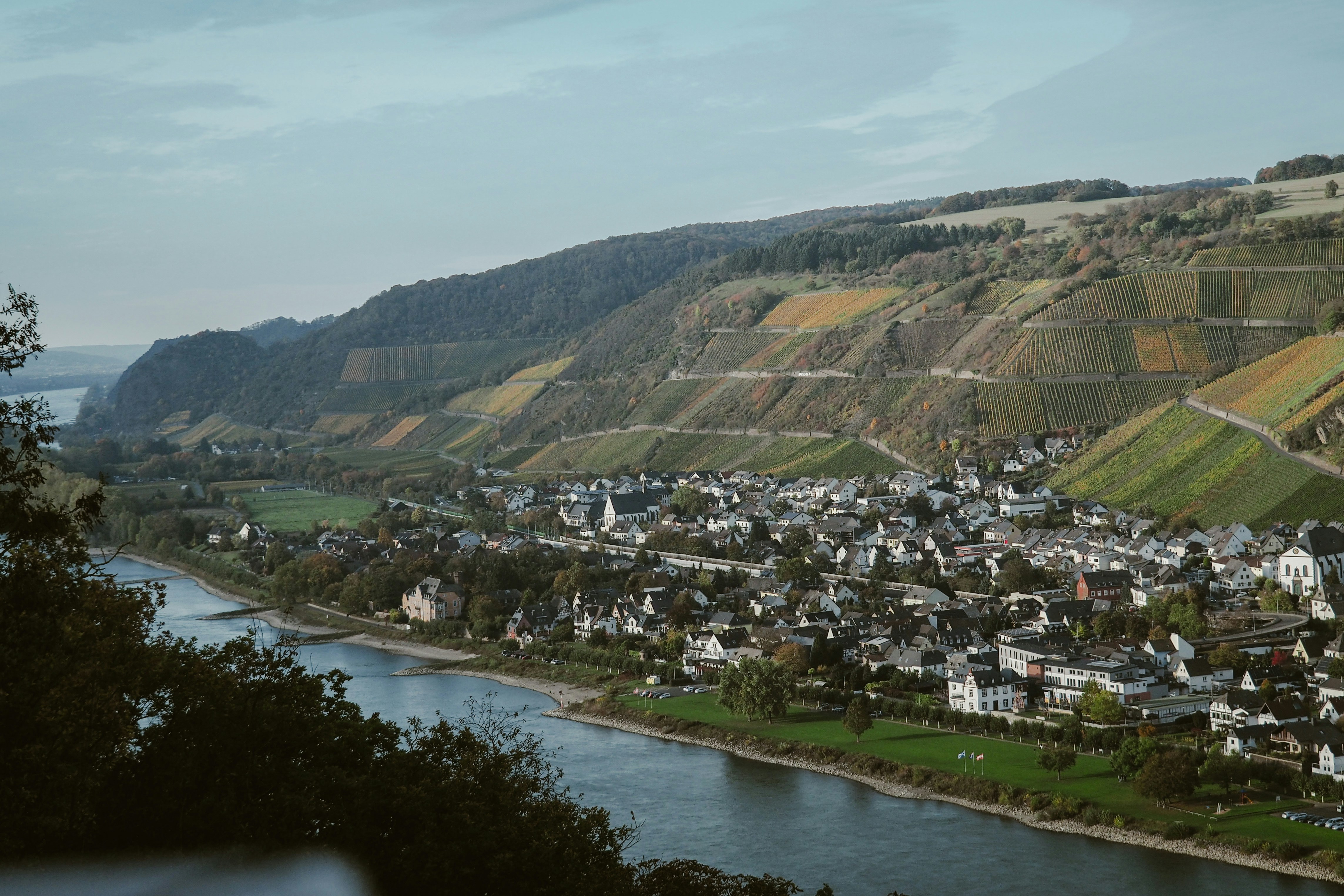 Photo by davidgeneugelijk