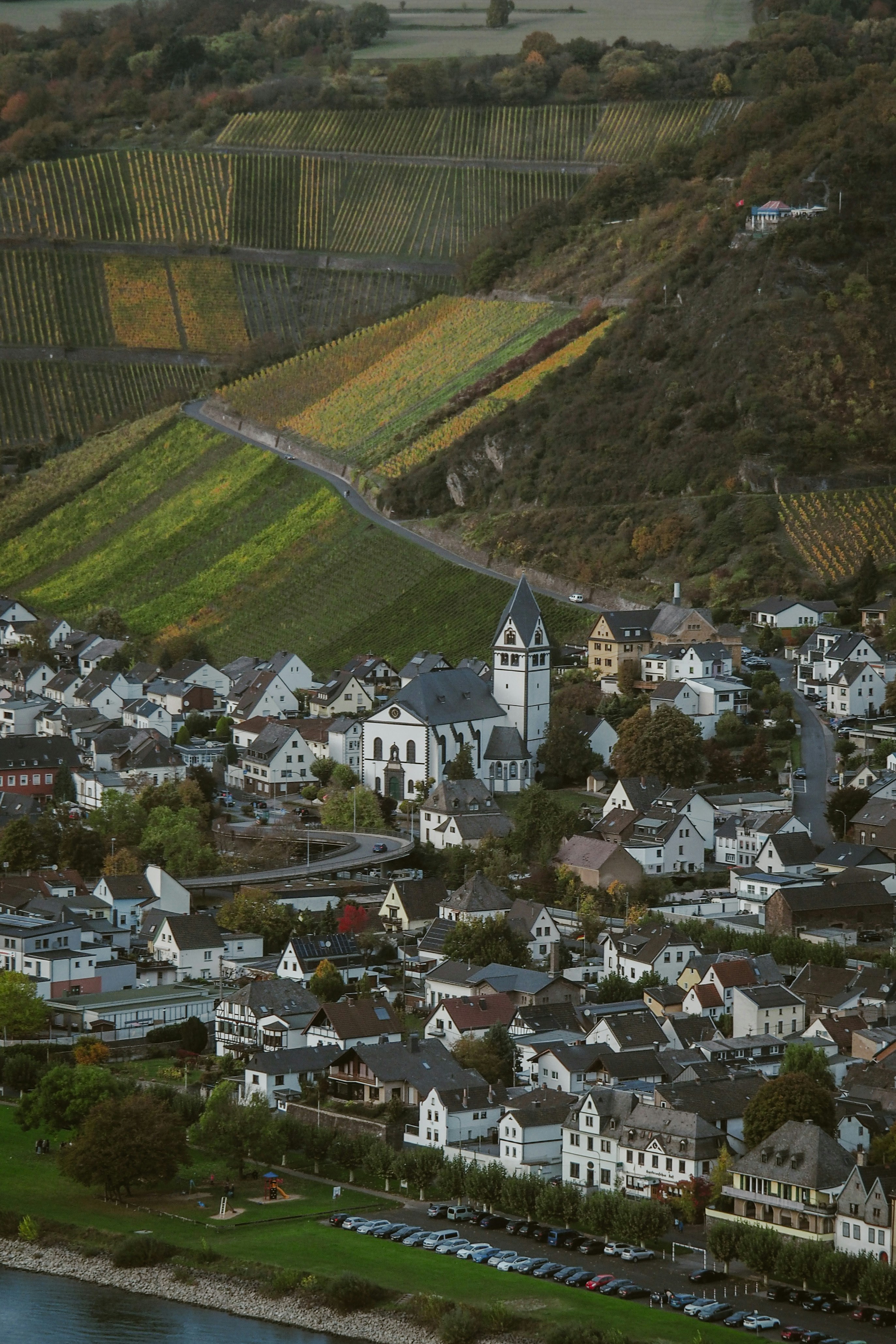 Photo by davidgeneugelijk