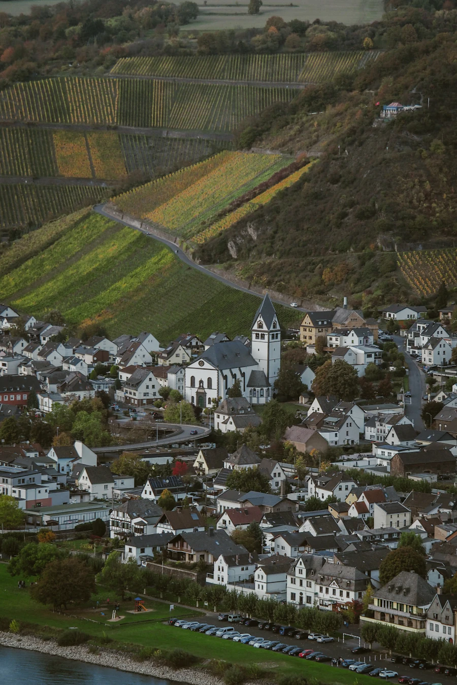Mosel