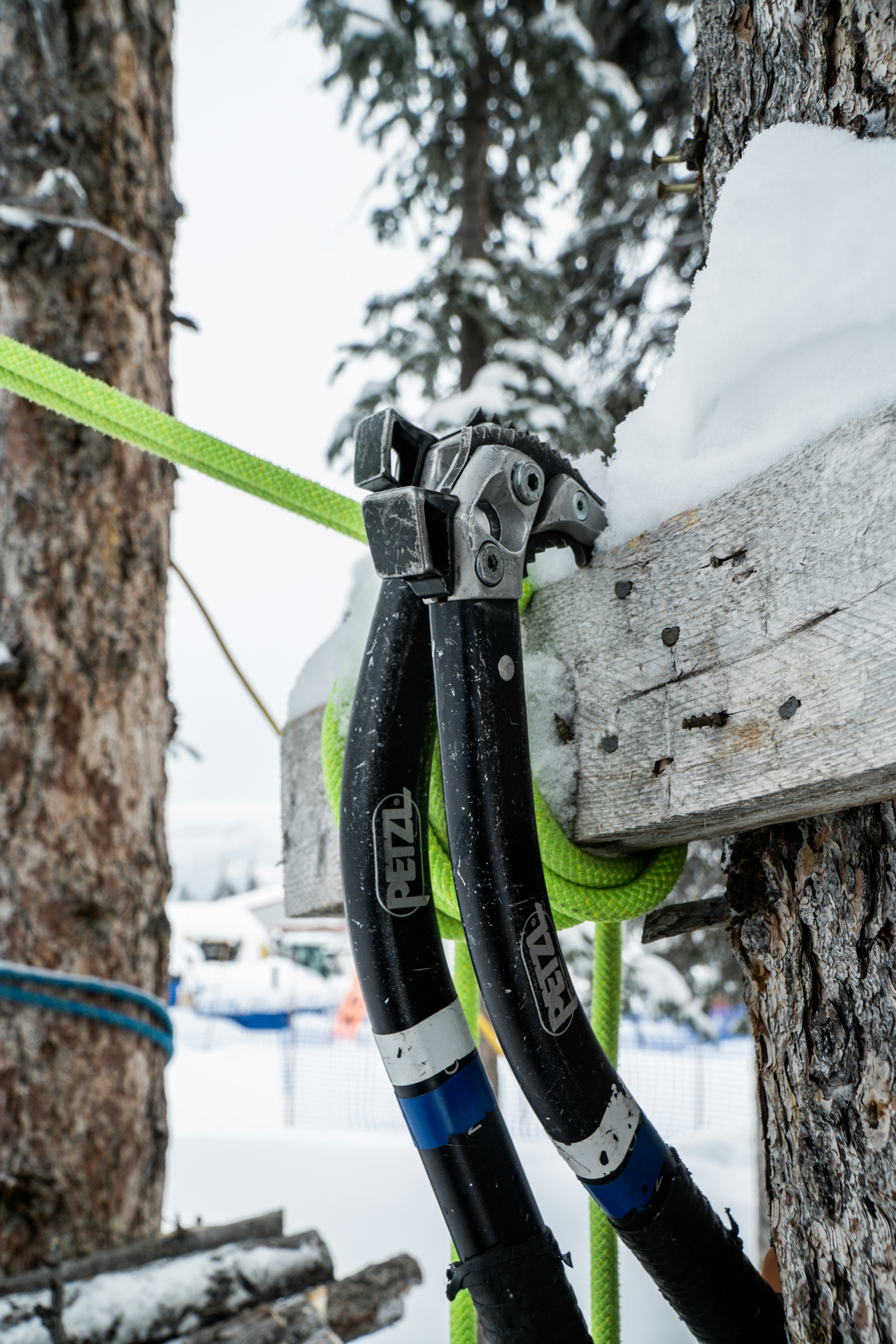 Equipo de escalada sujeto a un árbol nevado
