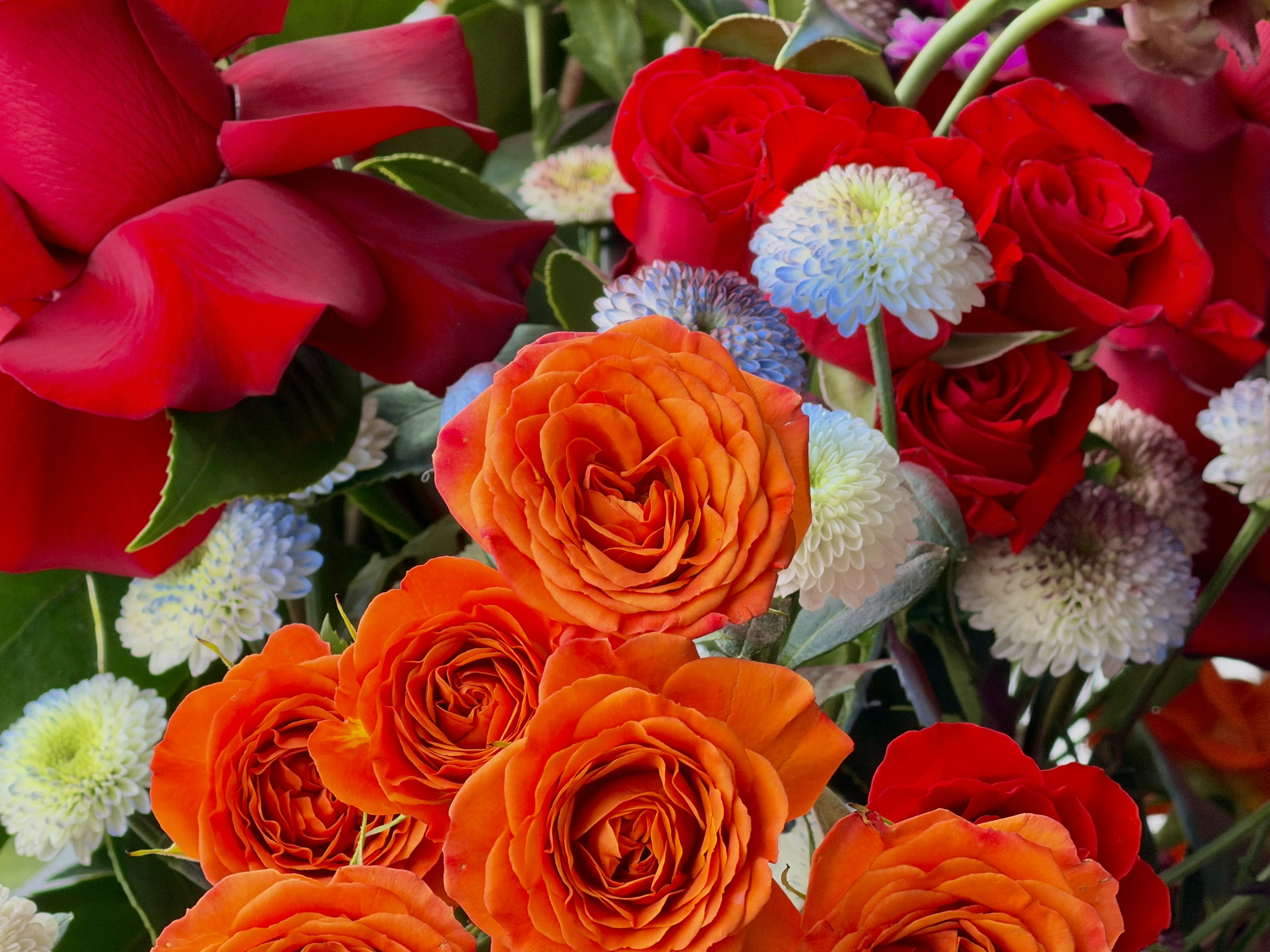 Photo by space_launch_system