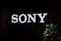 The sony logo is illuminated on a dark background